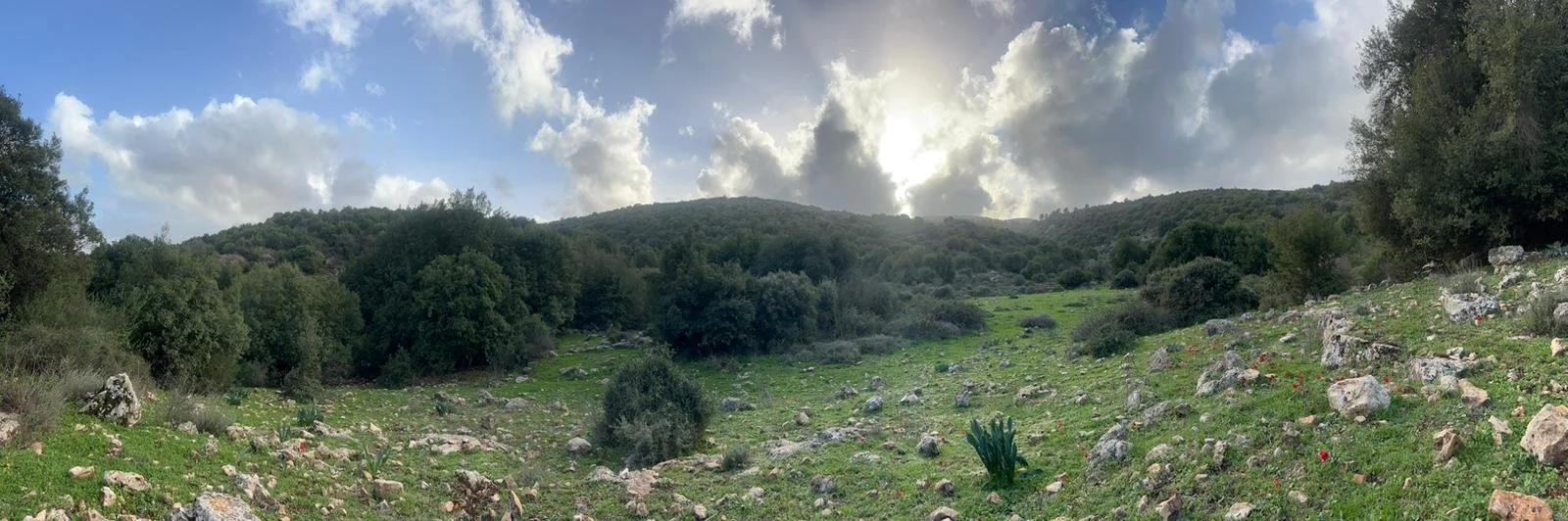 תודות יוגה שמש | יוגה אמירים | שיעורי יוגה | האטה יוגה