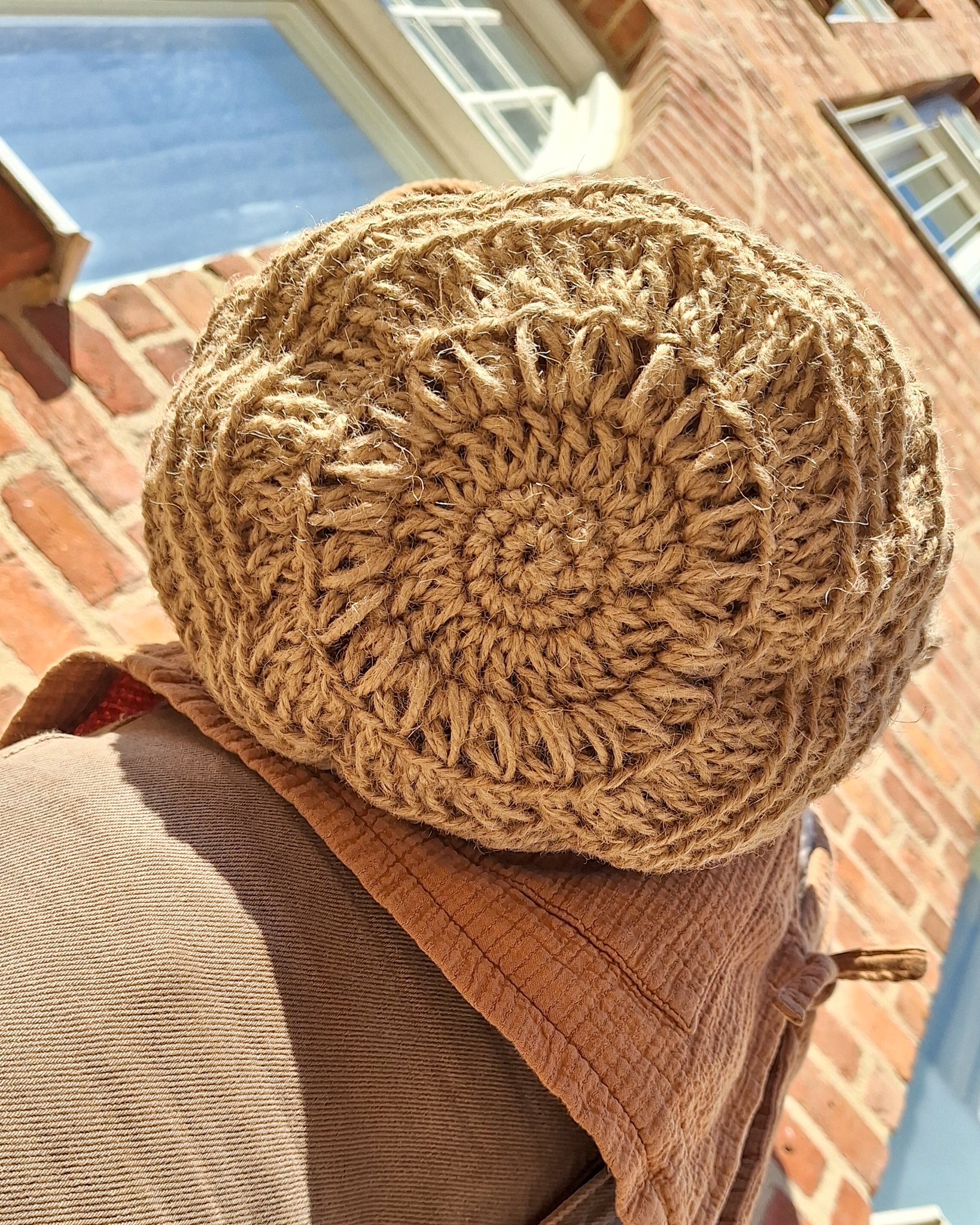 Sunflower 3 4x5.jpg