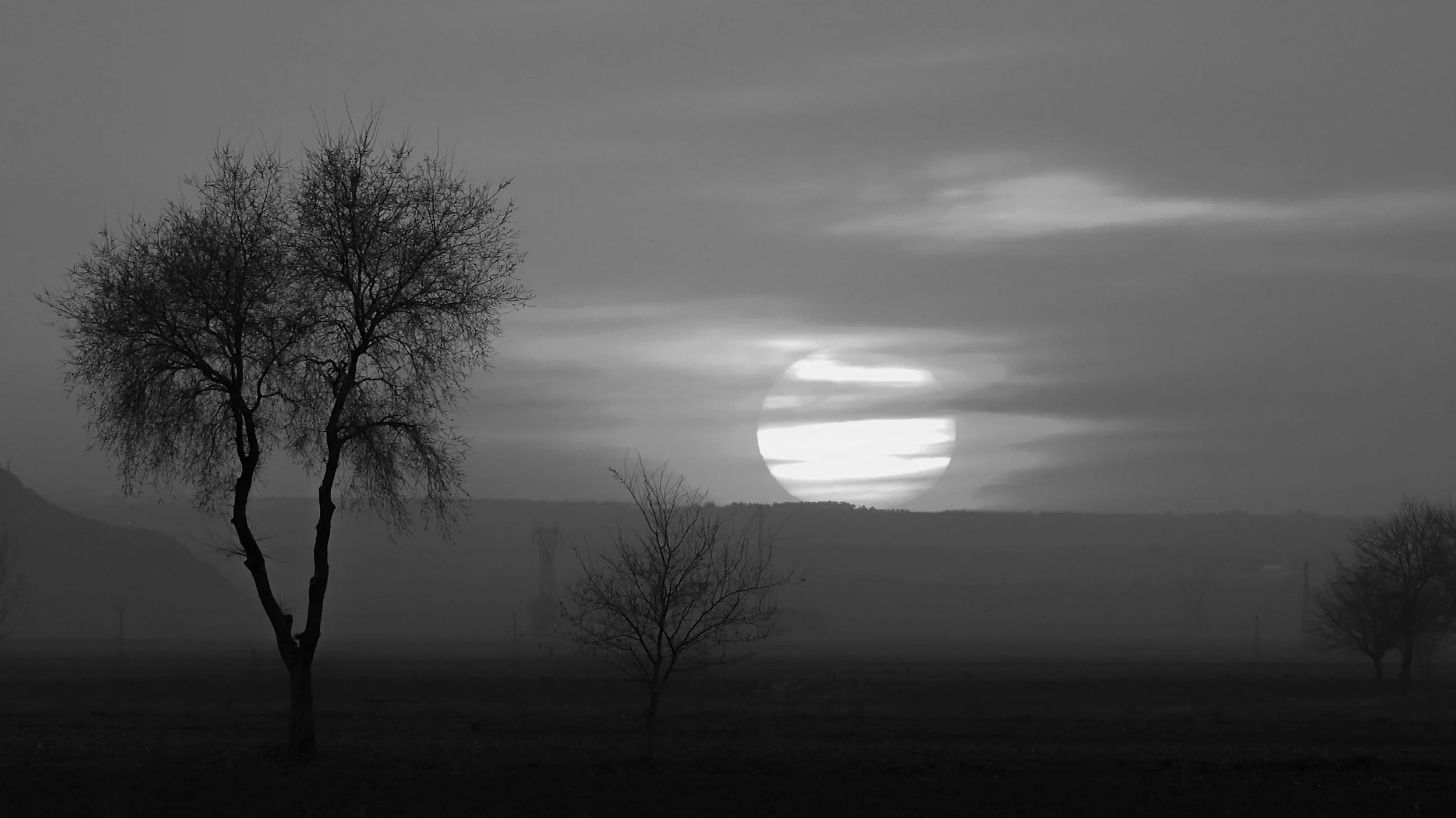 Sidy Badji udkast 24 (English Subtitles).00_28_20_06.Still014.jpg