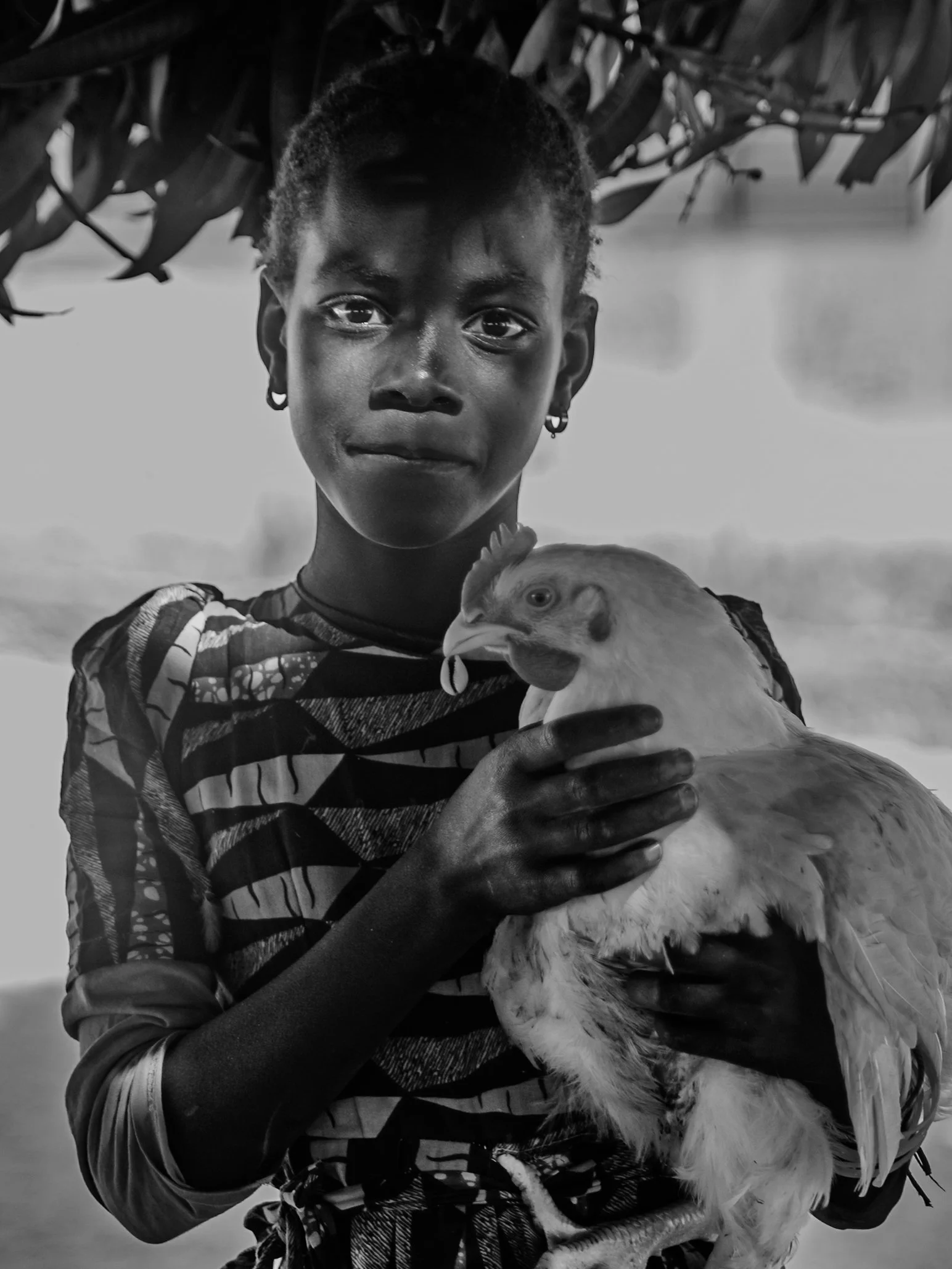 Sidy Badji udkast 24 (English Subtitles).00_28_40_21.Still018.jpg