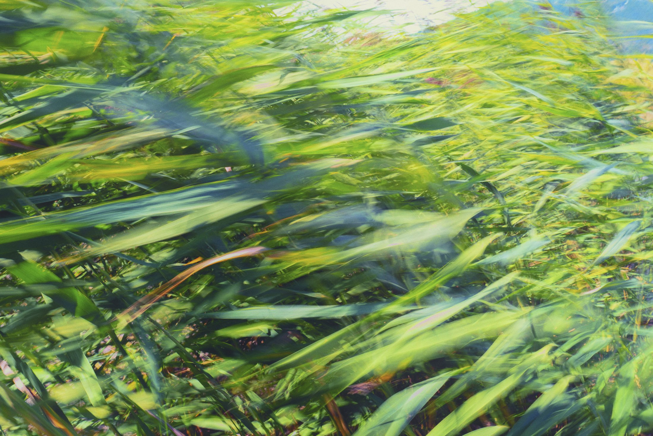 ICM--2.jpg
