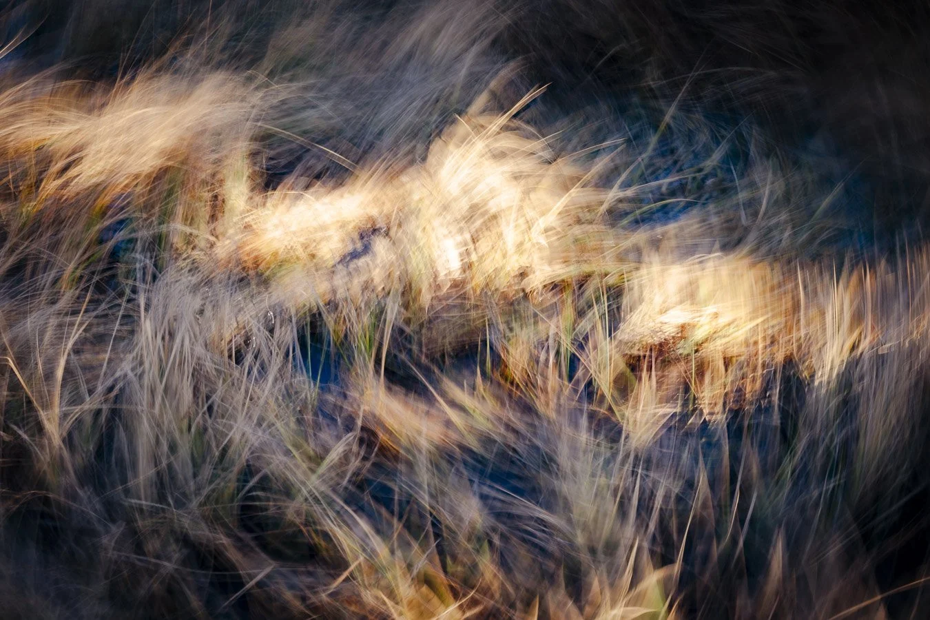 Web_Sized_ICM-1030742.jpg