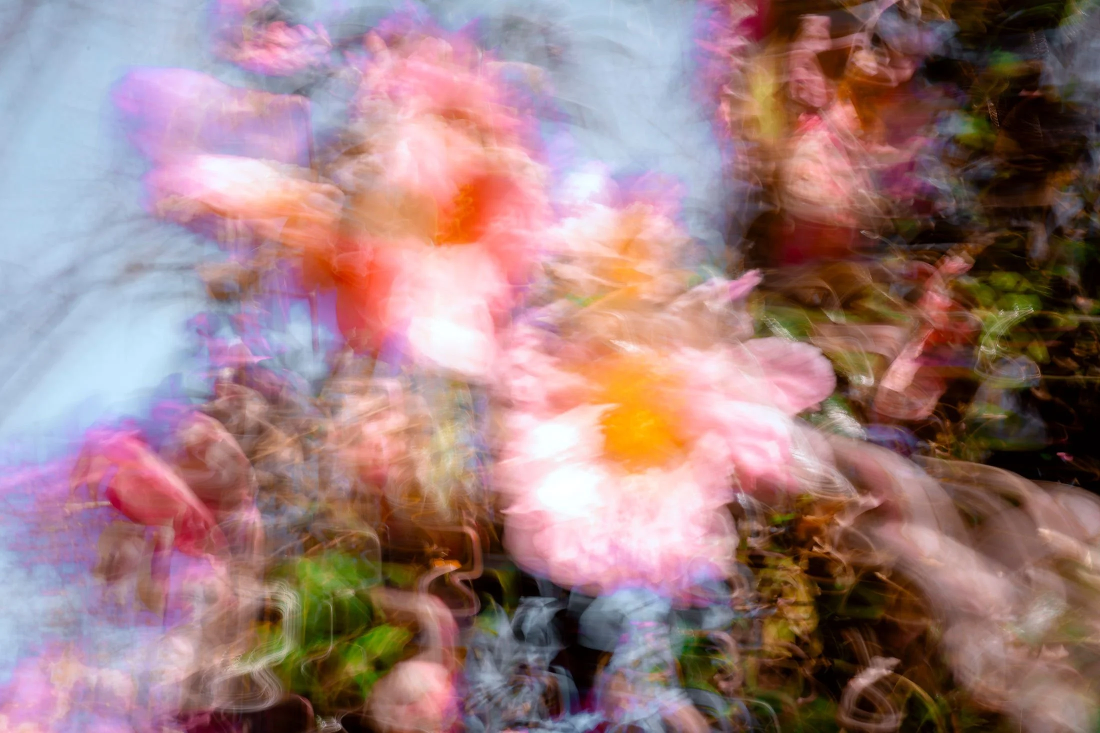 ICM-0005521_3-zu-2.jpg