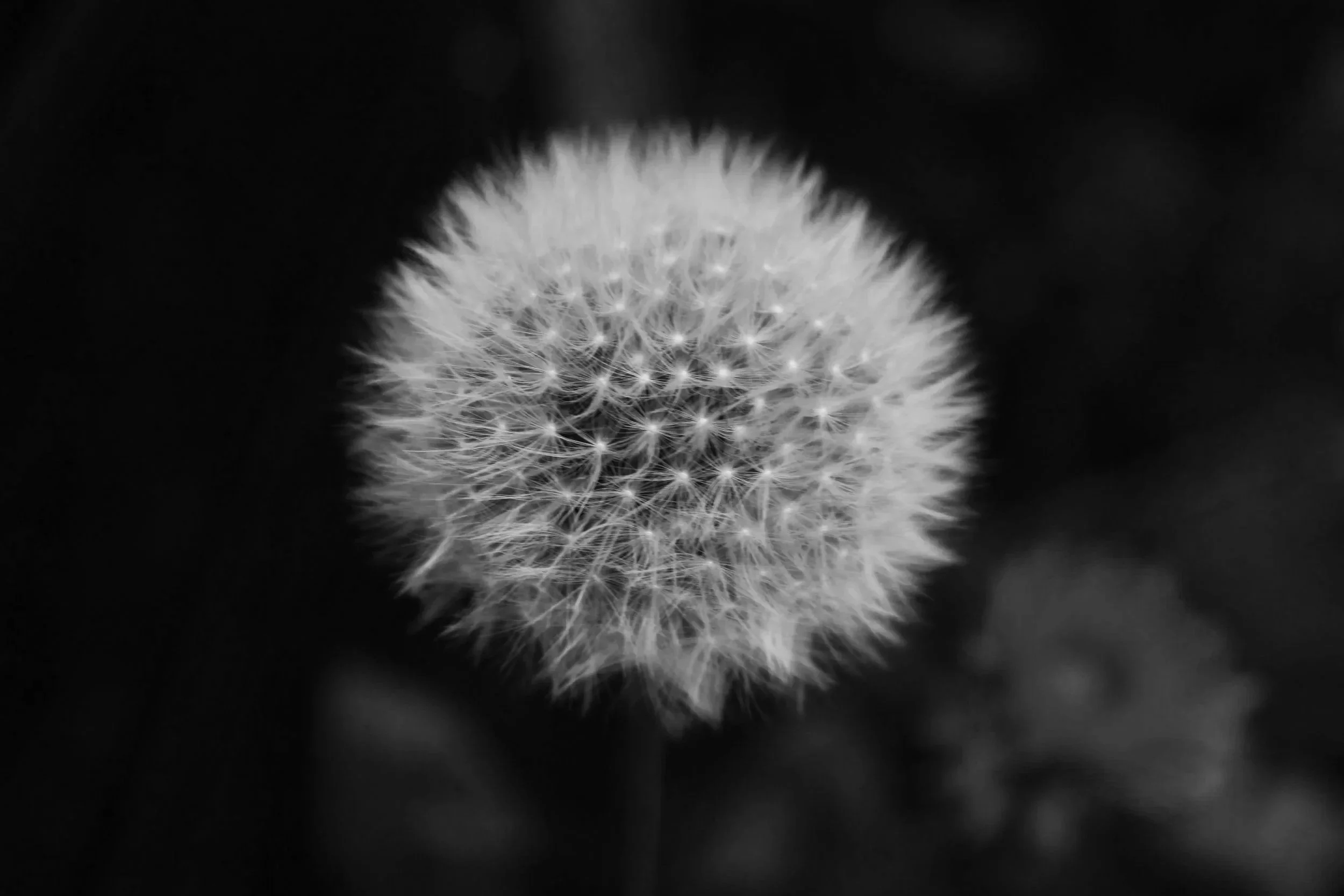 1085302.jpg