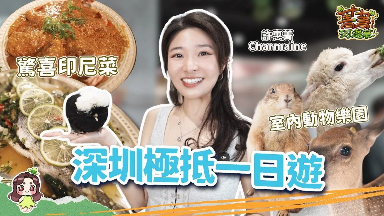 惠菁大戰草泥馬鹿仔 深圳極抵一日遊 華強北任餵任摸動物樂園 入手大熱胭脂太陽眼鏡 印尼東南亞菜竟然有驚喜？ #爆廠 #菁菁河邊草 #許惠菁