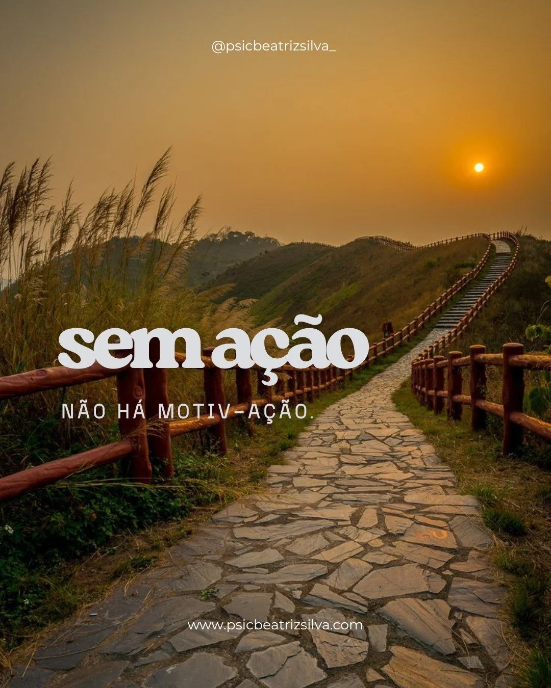 Sem a&ccedil;&atilde;o, n&atilde;o h&aacute; motiva&ccedil;&atilde;o.
A ativa&ccedil;&atilde;o comportamental lembra-nos de uma verdade simples: muitas vezes, a motiva&ccedil;&atilde;o n&atilde;o aparece antes do movimento... nasce a partir dele.

Es