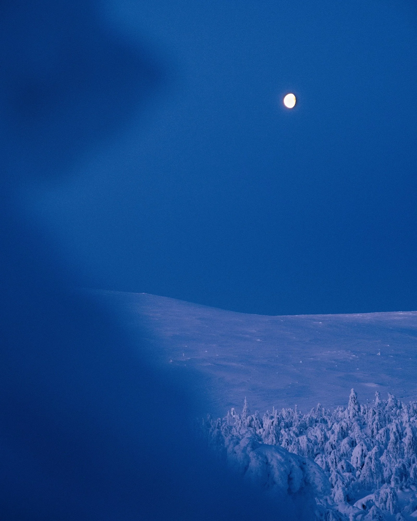 E792A59A-F836-46B3-8CD4-66C70B2610FE 2.JPG