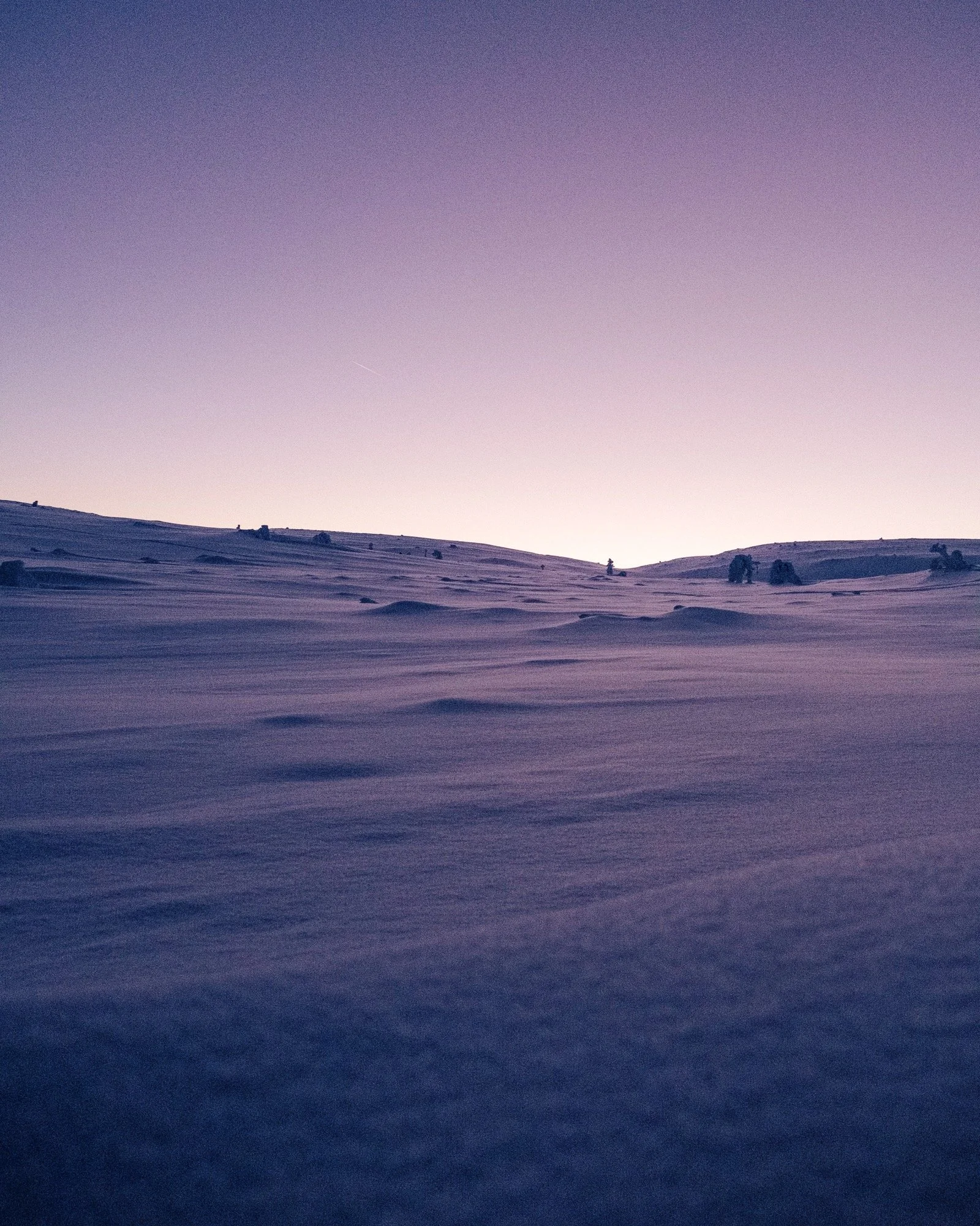 A1808955-5673-4719-9C77-B13E40114385 2.JPG