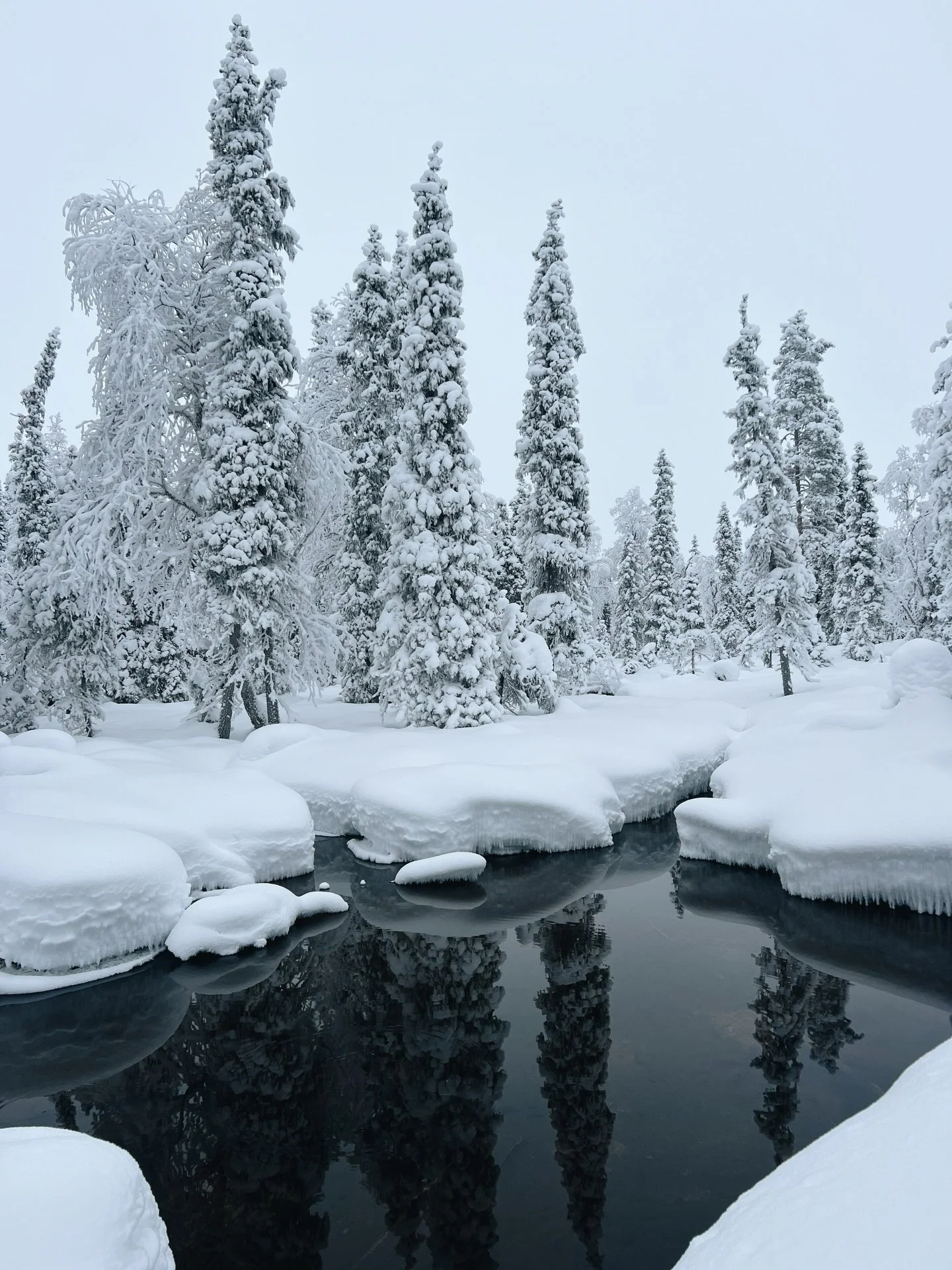 Haluisiks s&auml;kin t&auml;nne? Pohjoisen luonto hurmaa, seikkailut my&ouml;s :-)

#luonto #retkeily #arcticnature