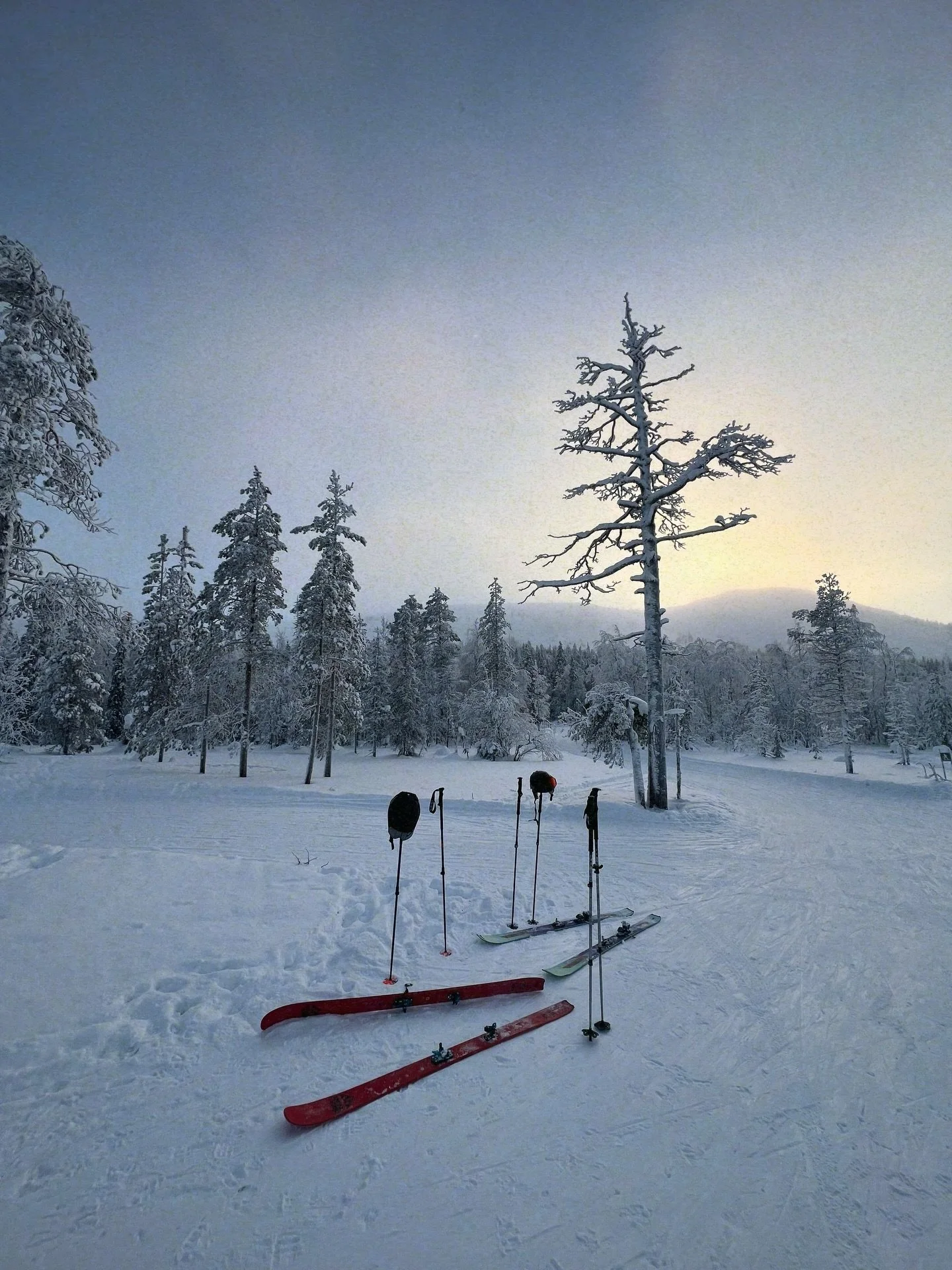 Aloittelijoiden Vapaalaskuretki 〰️ laskiessa uppoiduime pehme&auml;&auml;n puuteriin, jutuissamme lajin saloihin

Yll&auml;ksen tuntureilla makustelimme tuulenpieksem&auml;&auml; paljakkaa ja pehme&auml;&auml; mets&auml;puuteria, kerrytimme tietoa ja