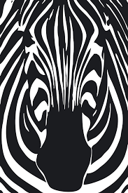 zebra.png