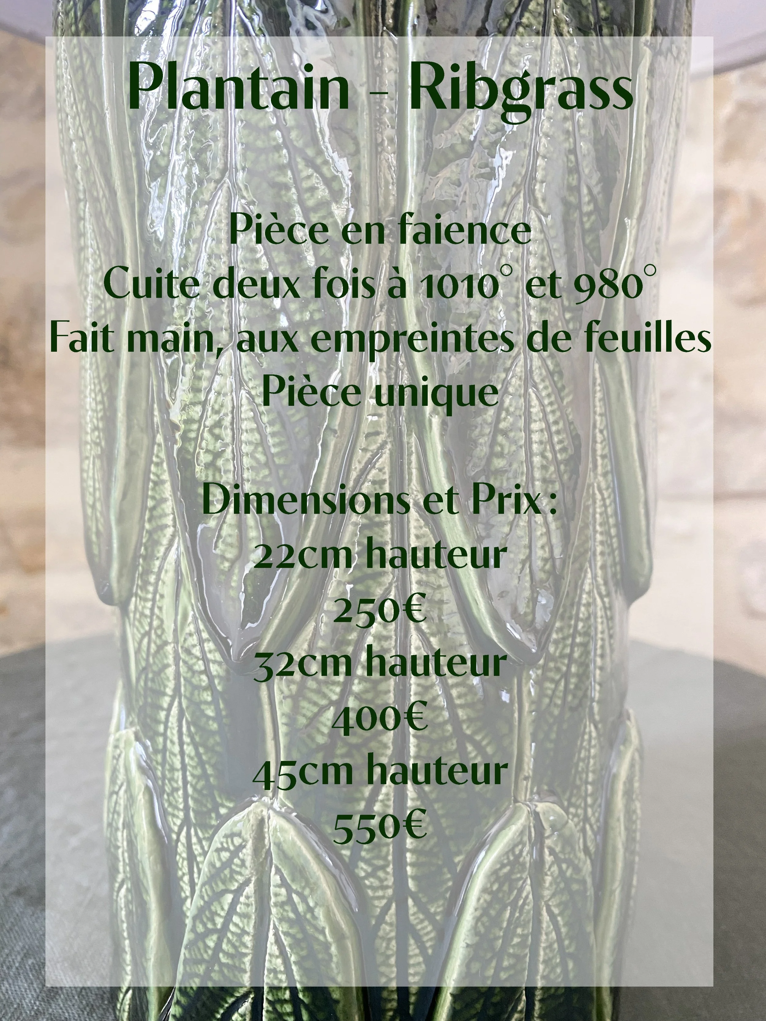 Ribgrass légende.jpg