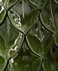 cornus close up 2.jpg