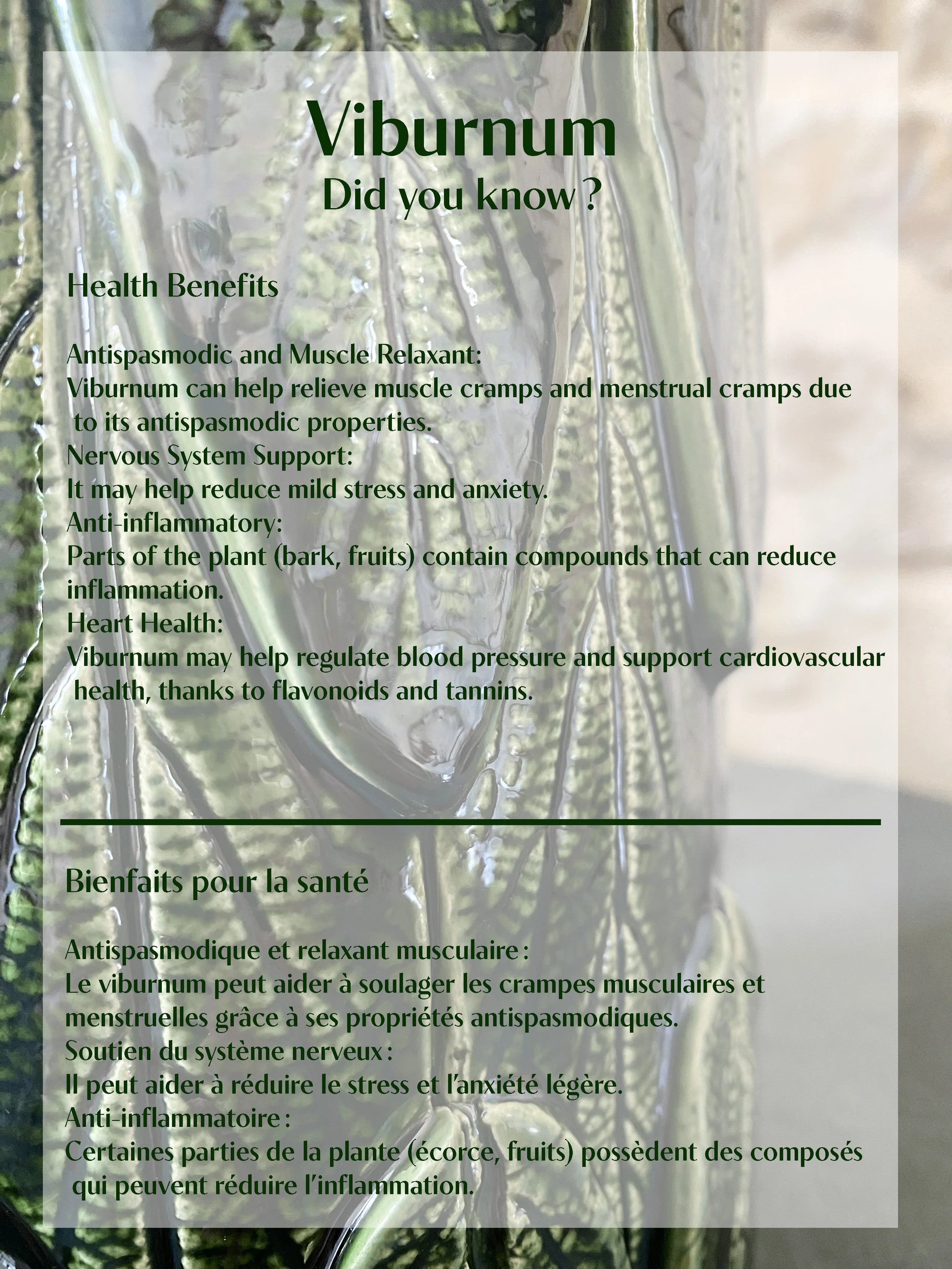 viburnum did u know.jpg