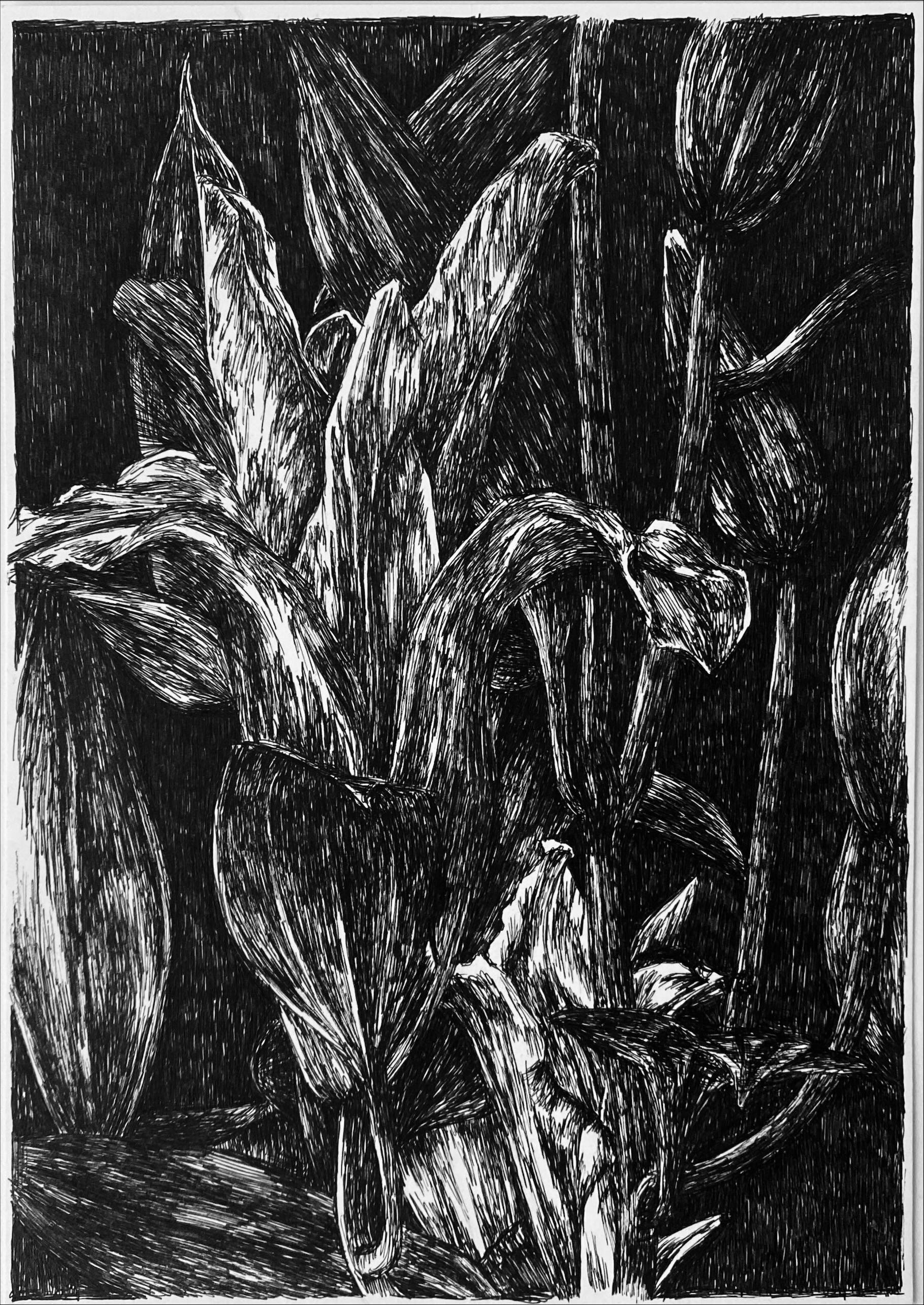 Evas Garden 2.JPG