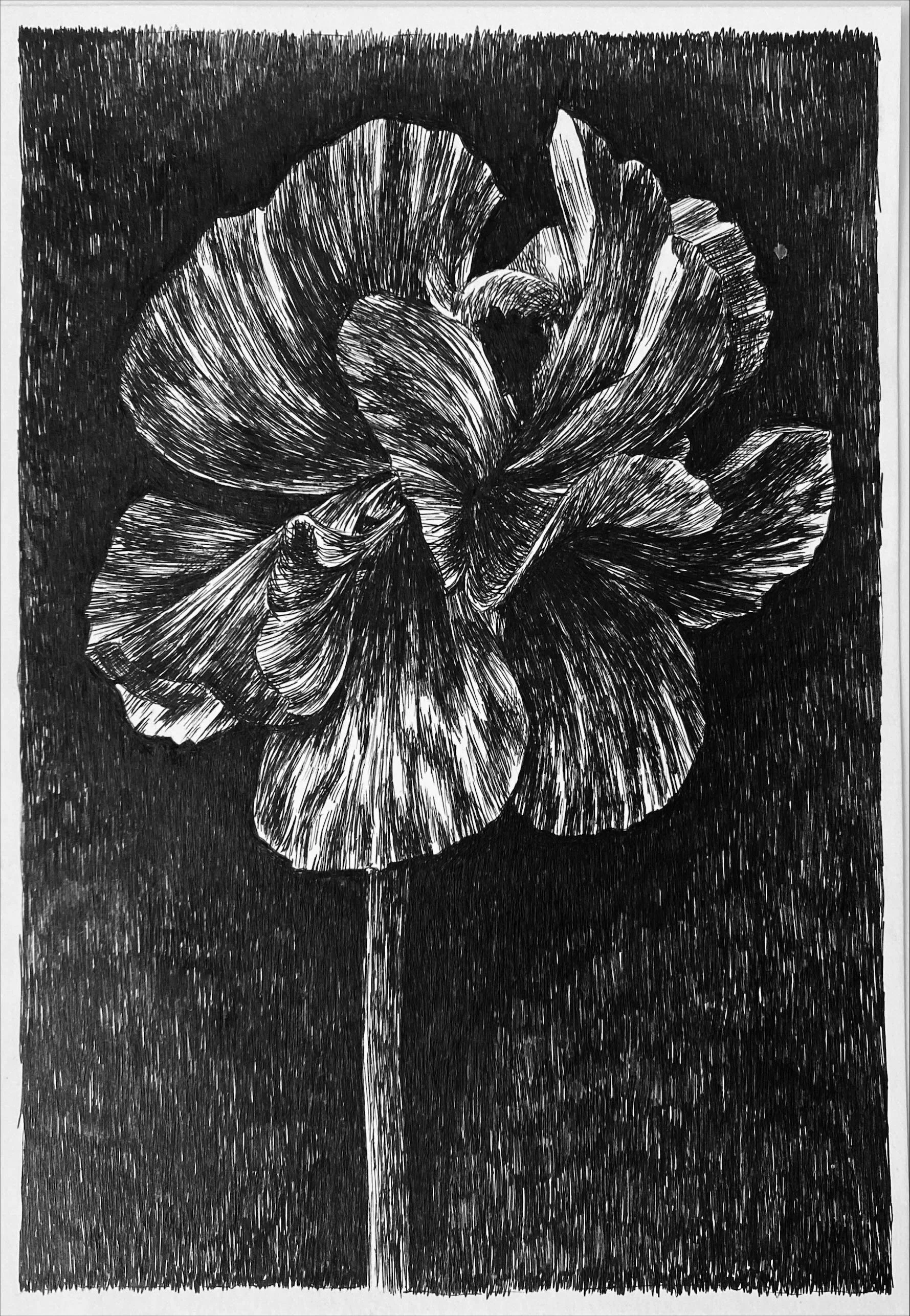 Evas Garden 3.JPG