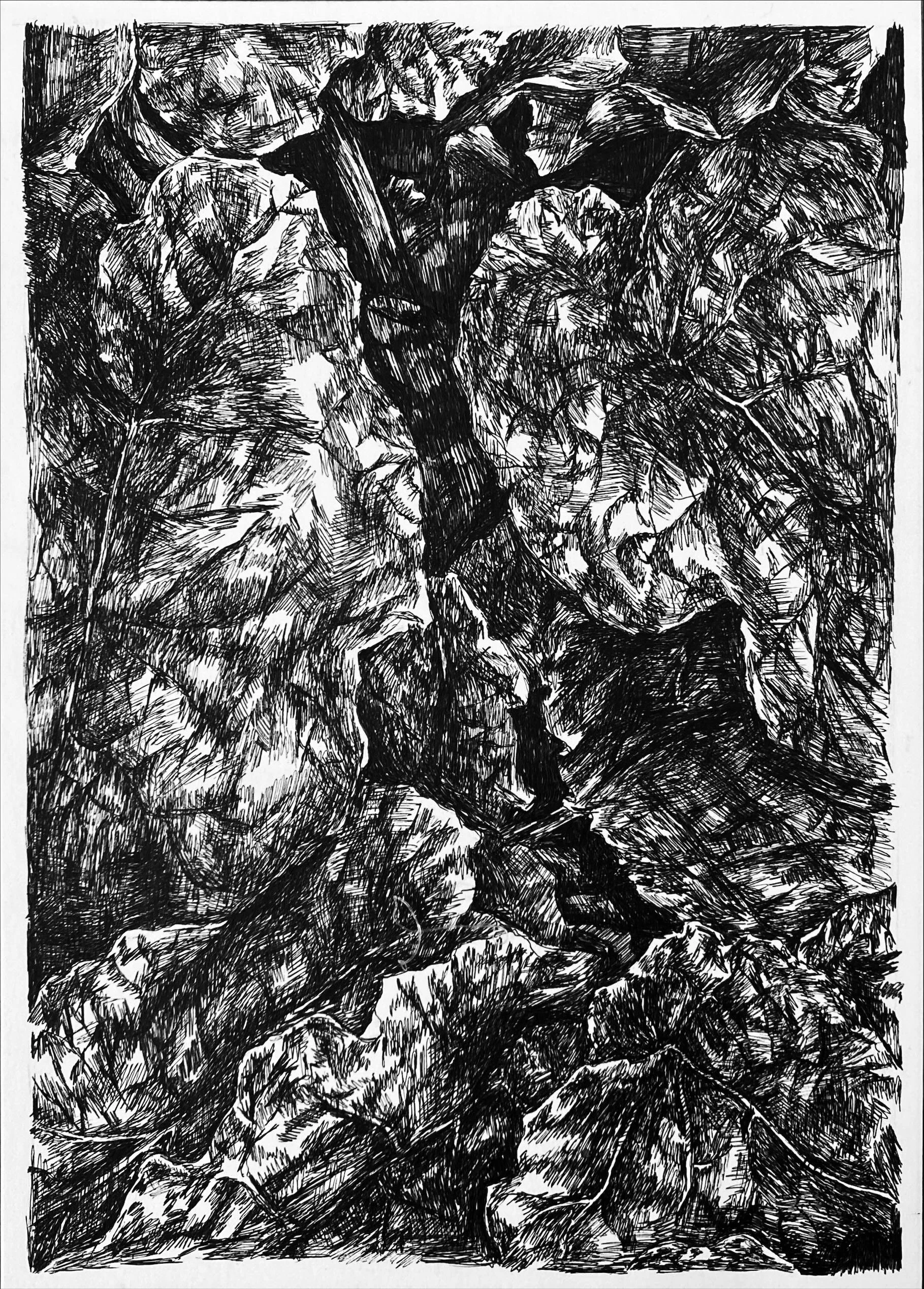 Evas Garden 5.JPG