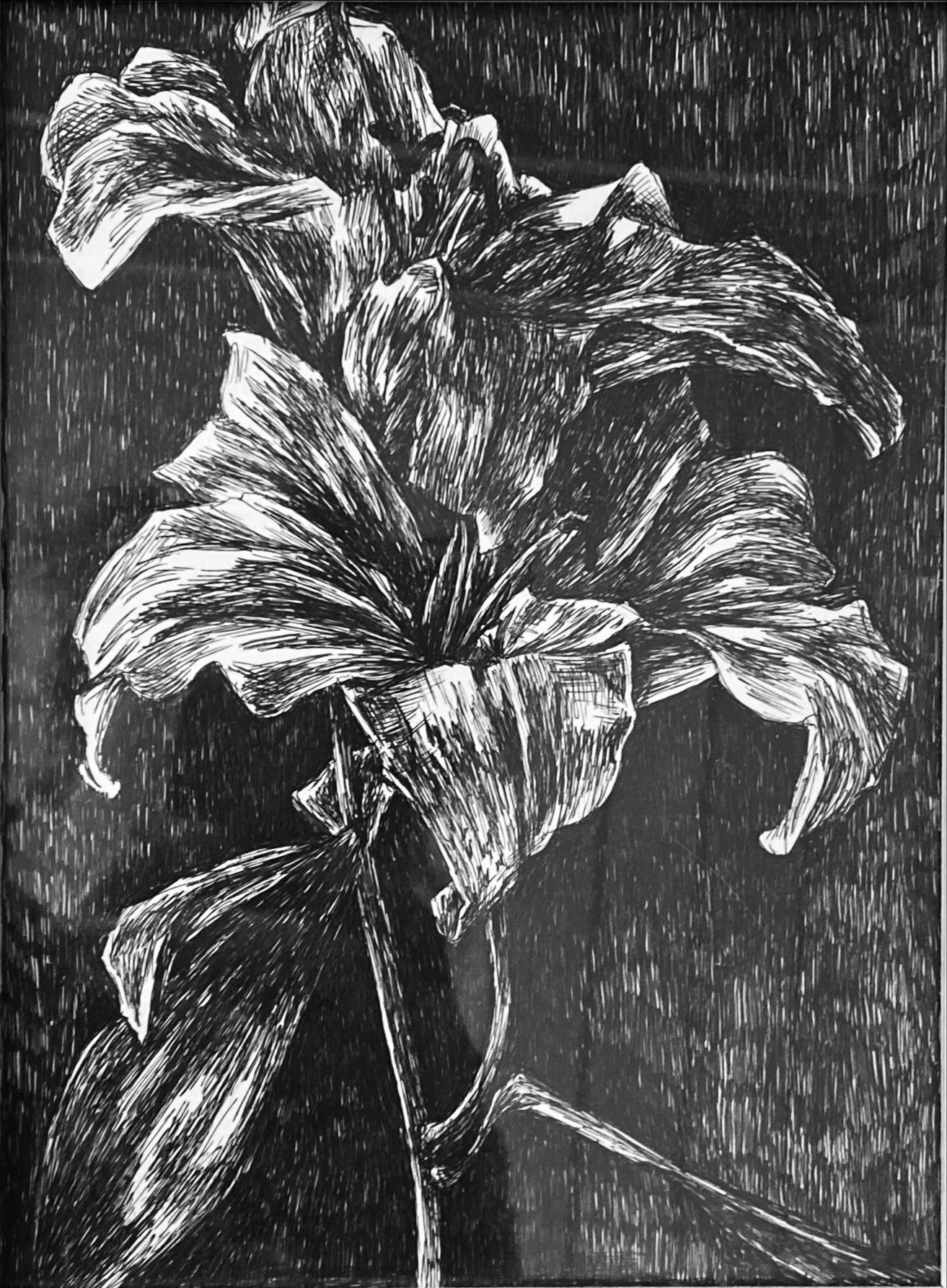 Evas garden 1.JPG