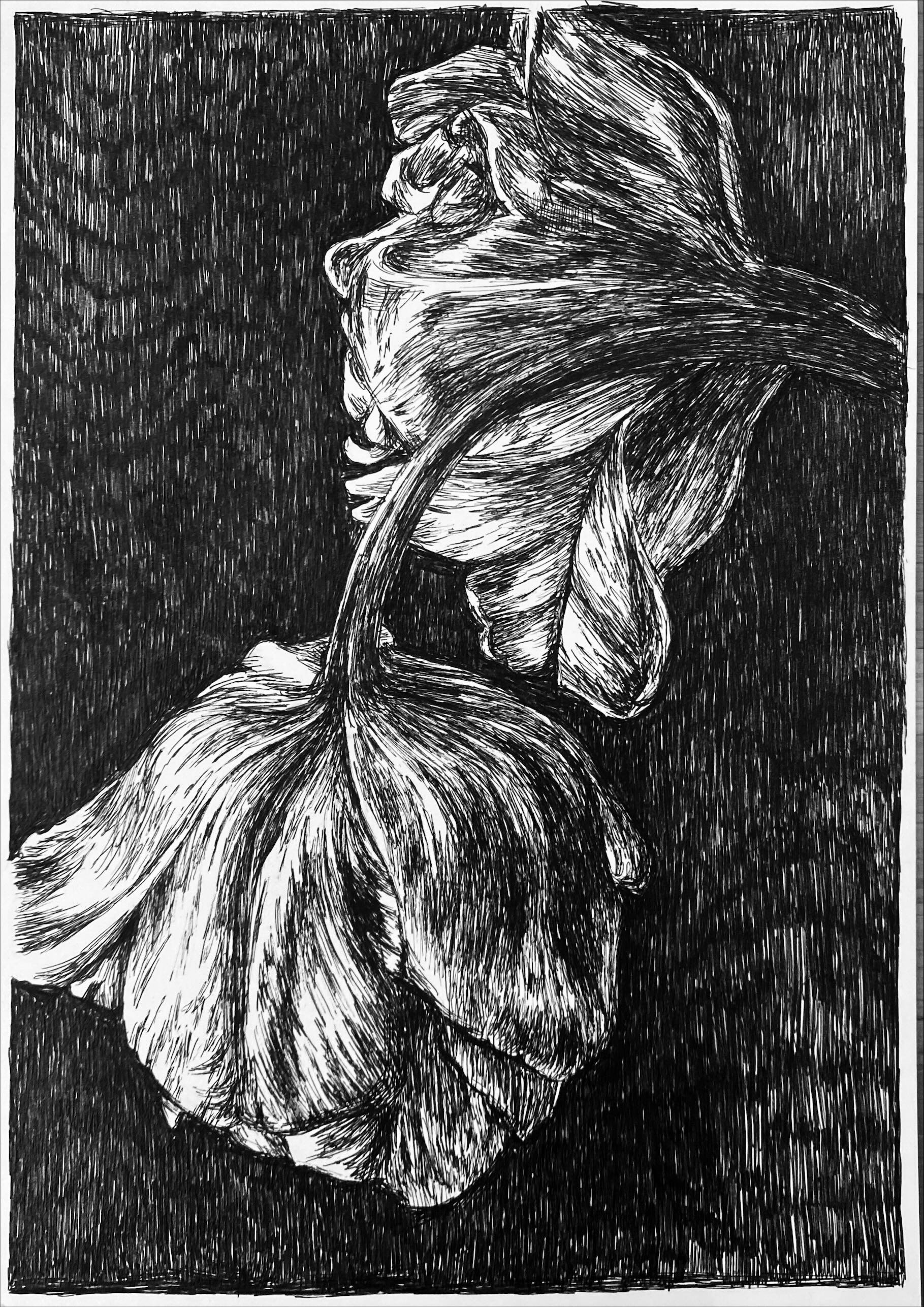 Evas garden 6.JPG