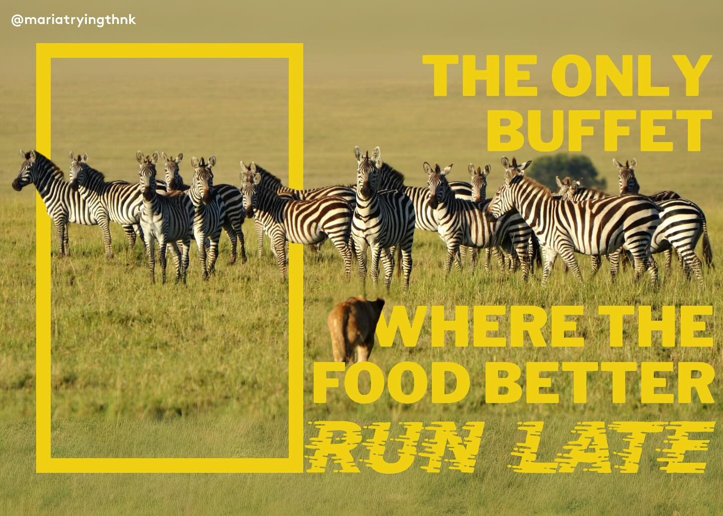 #allyoucaneatbuffets @oneminutebriefs no vegans options here 😔🦓🍽️
