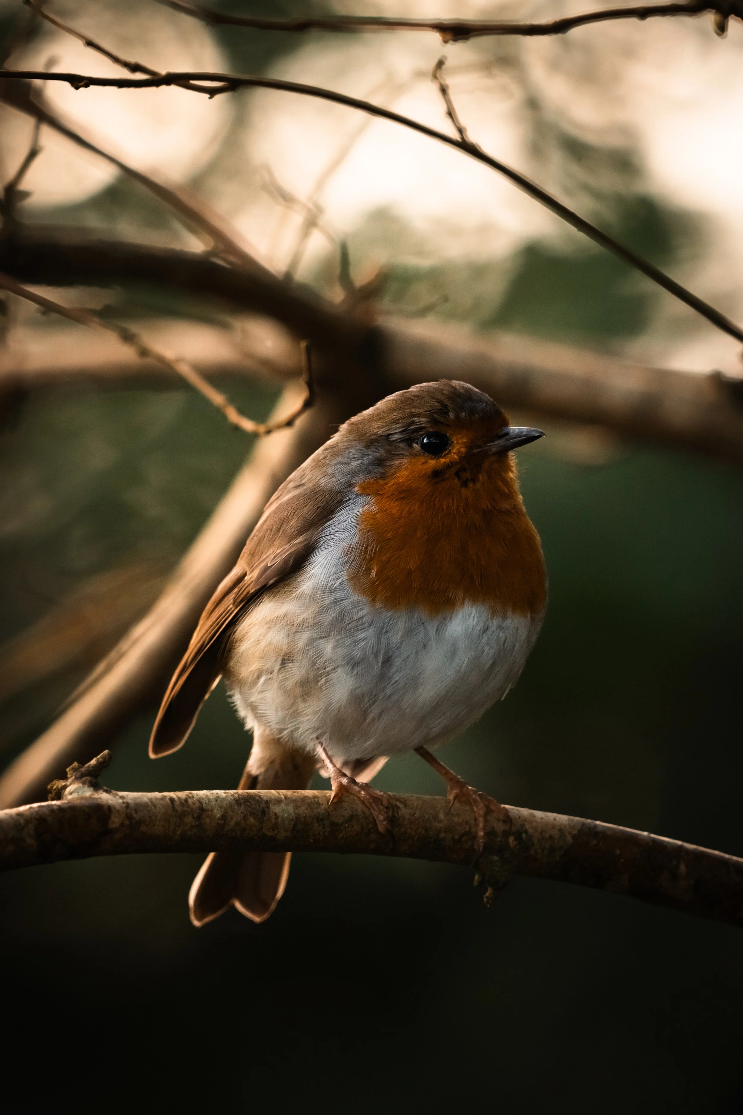 First Sigma Shots-22.jpg