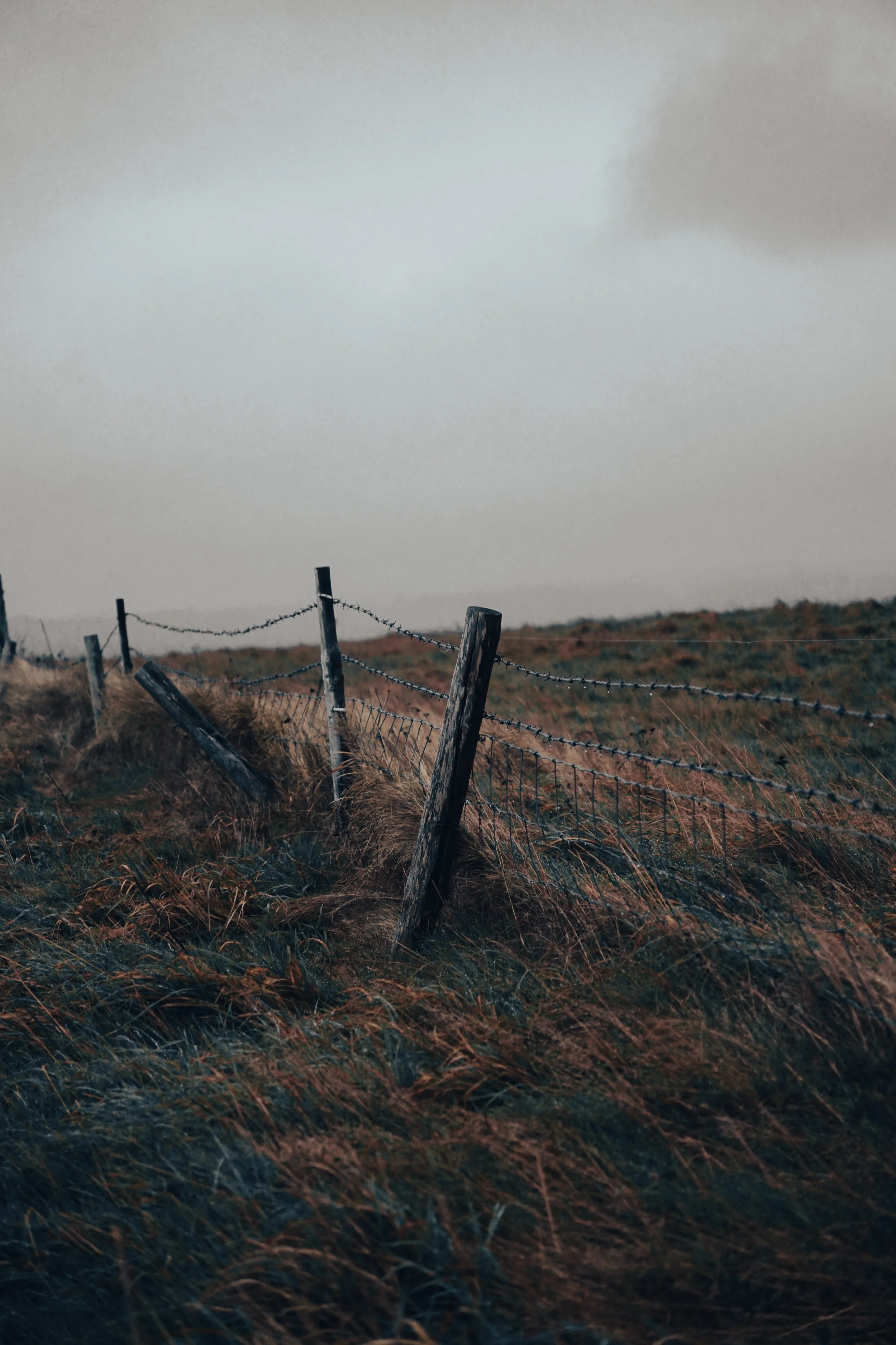 Lyme Fireworks 24-20.jpg