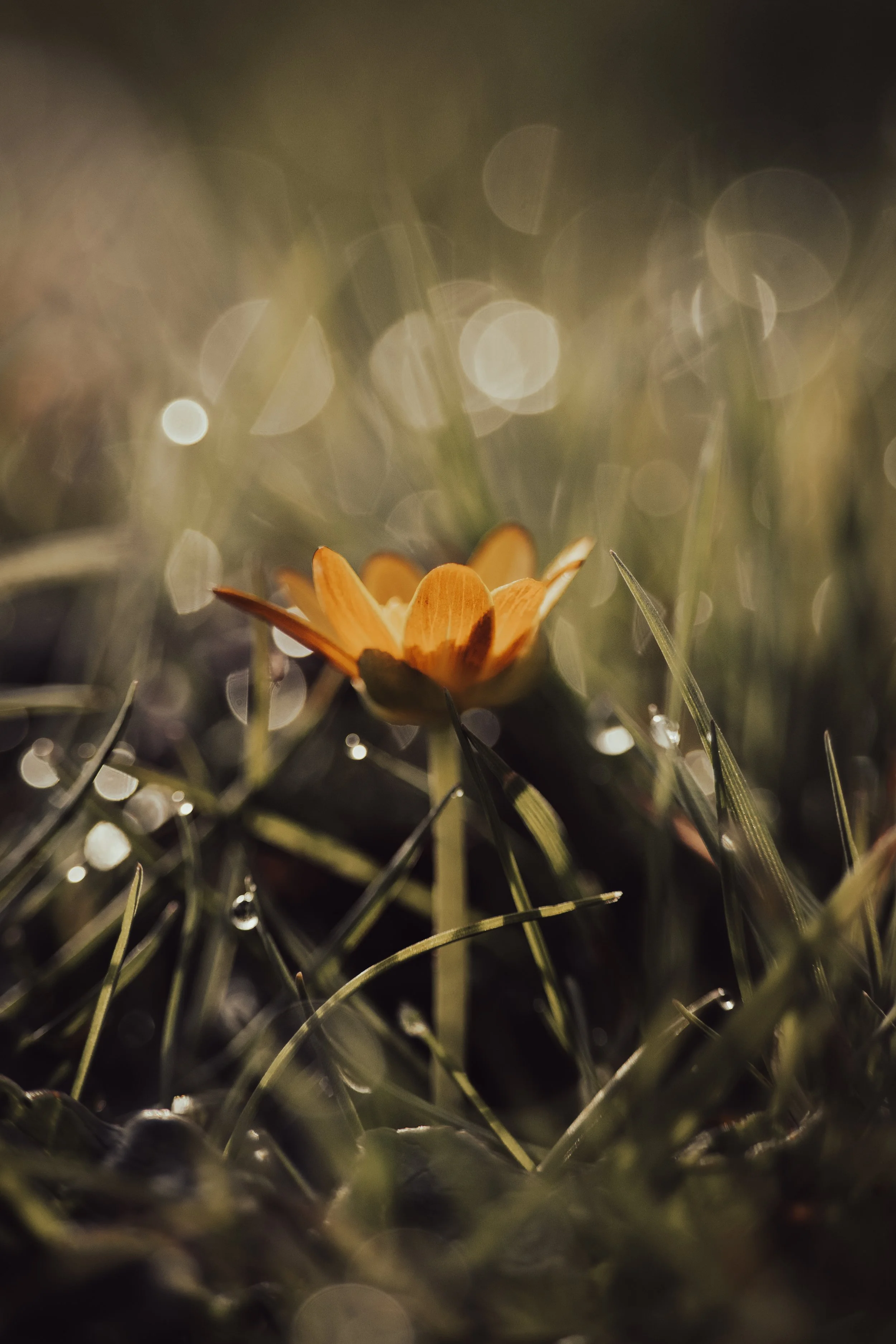 Stoford Sunday-7.jpg