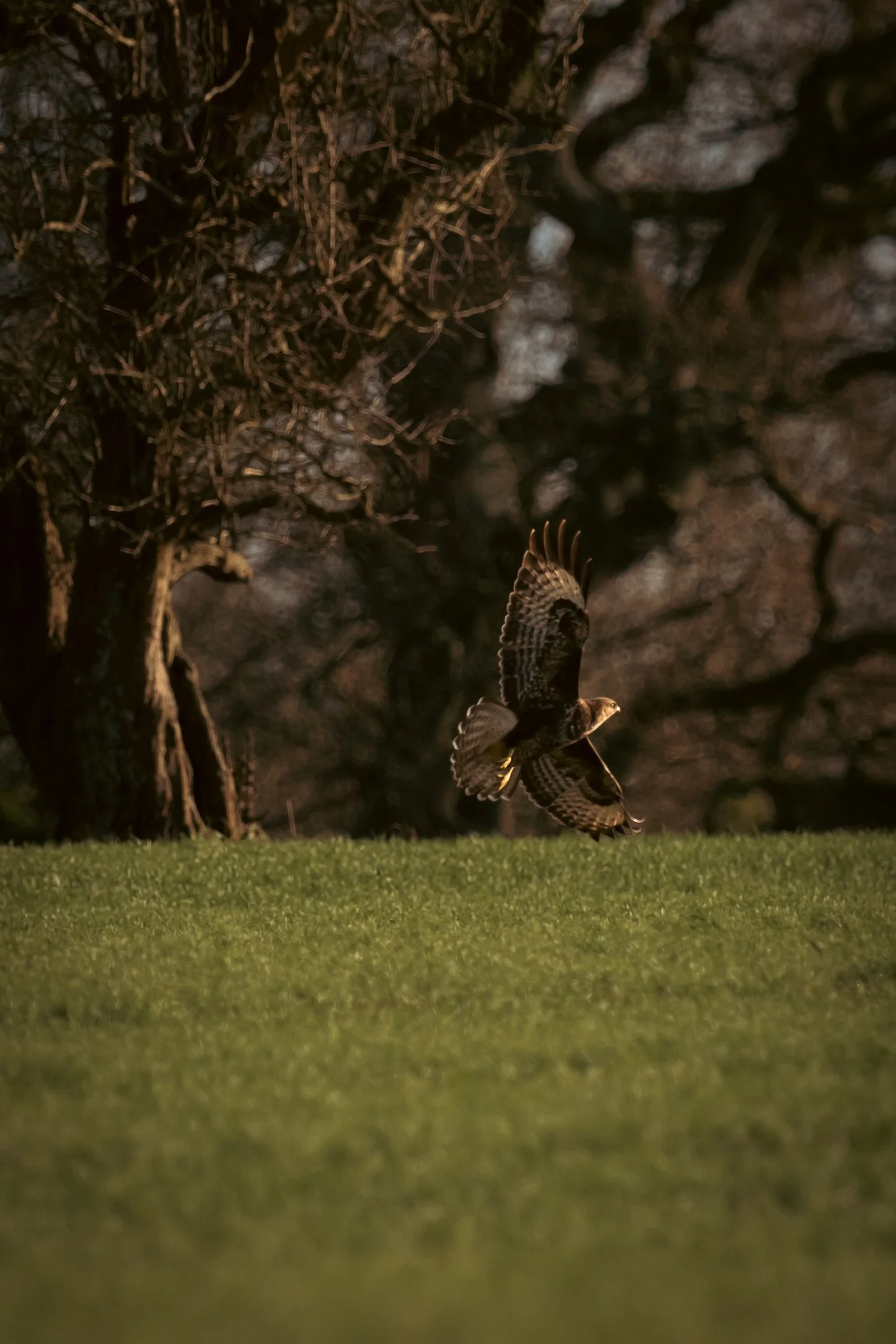 First Sigma Shots-21.jpg