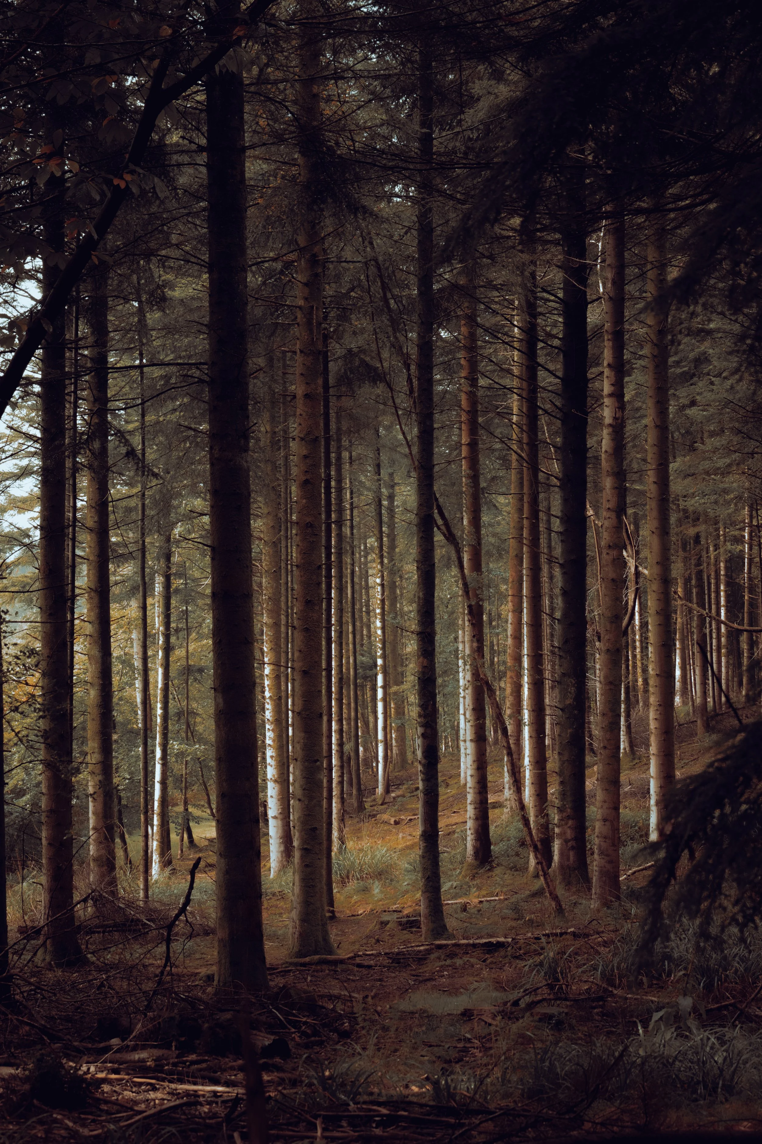Stourhead First Day Of Autumn-7.jpg