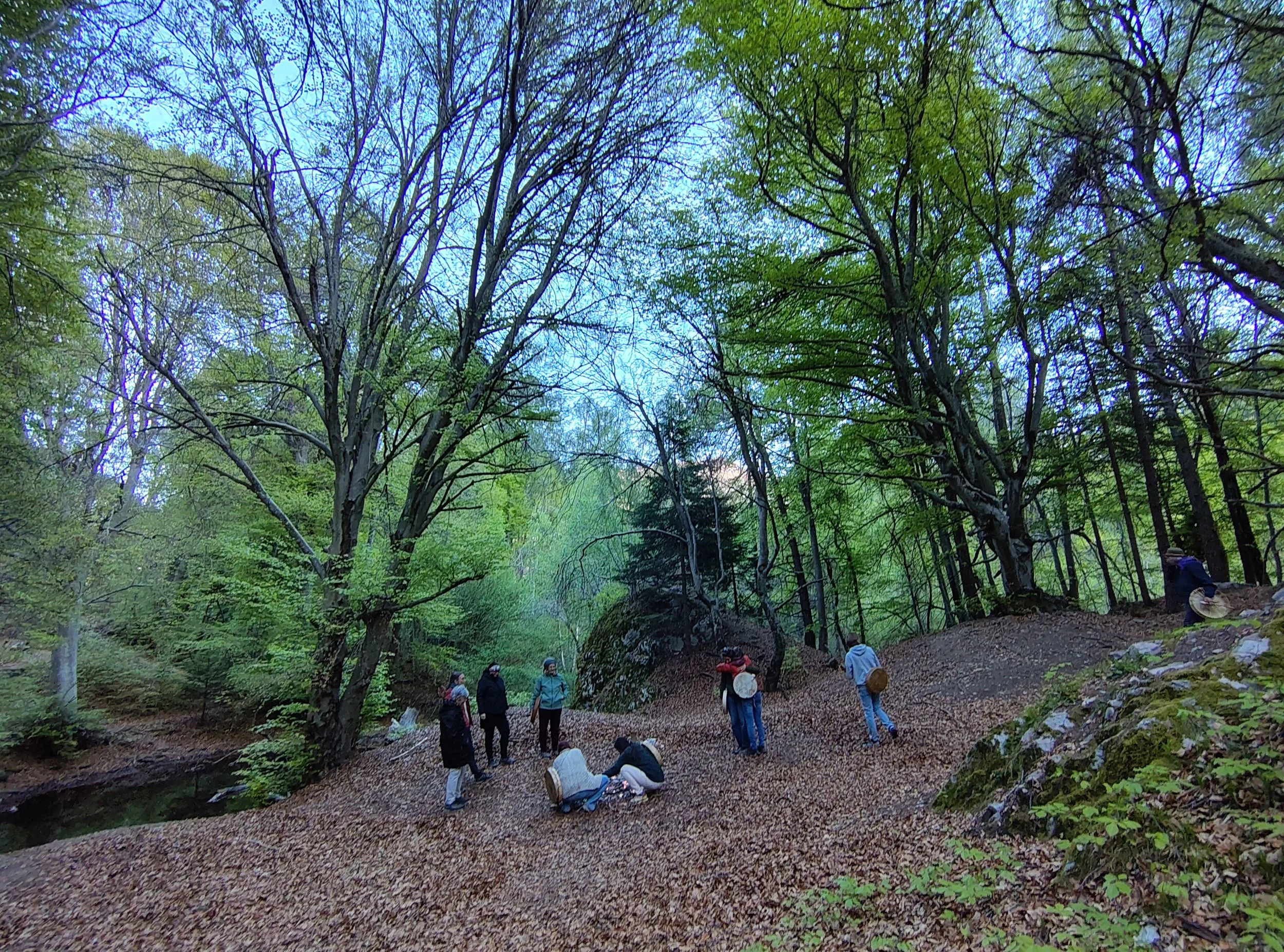 5 Tamins 2026I MG_20260430_193208353_HDR.jpg
