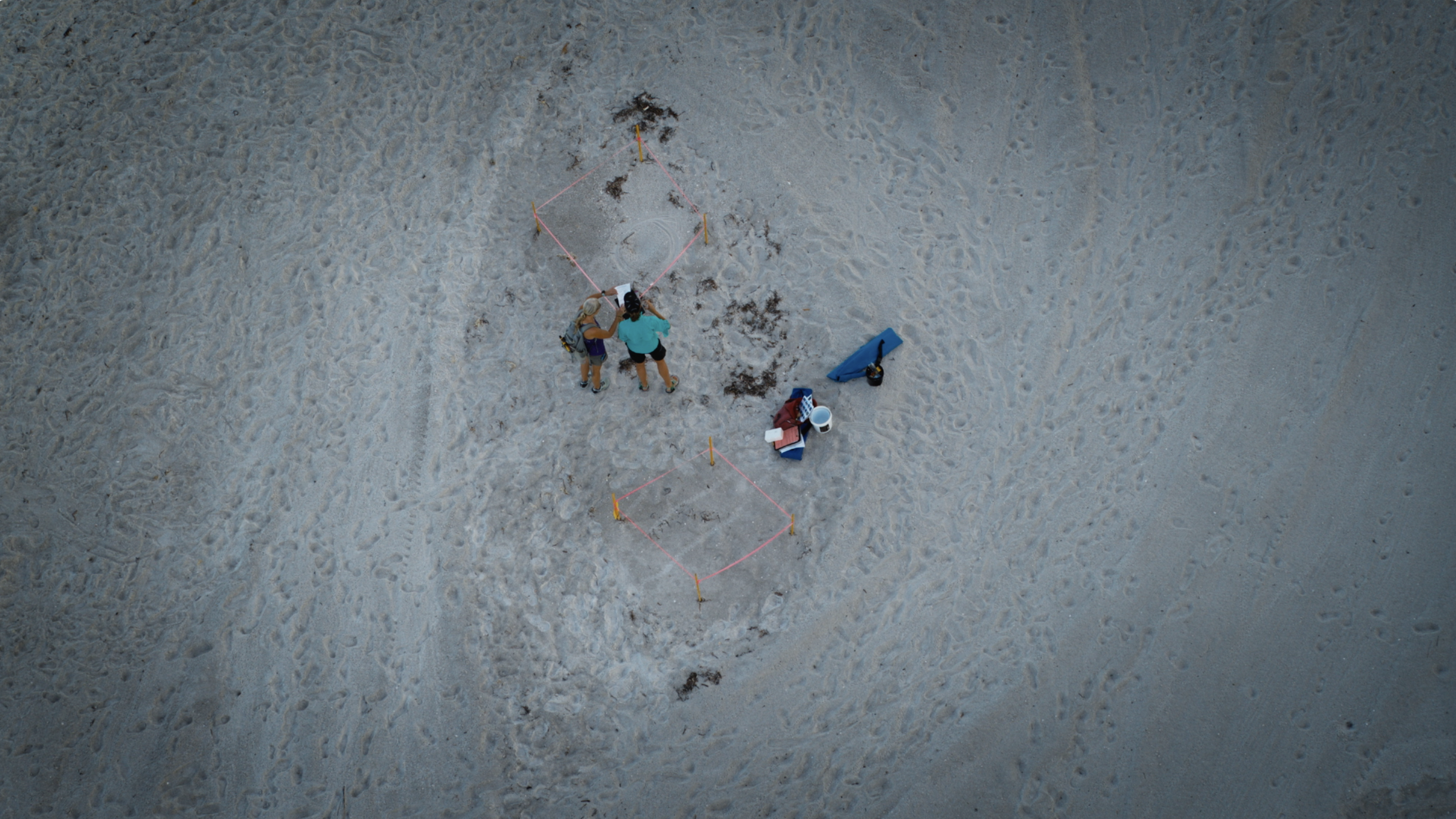 Screenshot 2025-10-30 at 10.27.05 AM.png