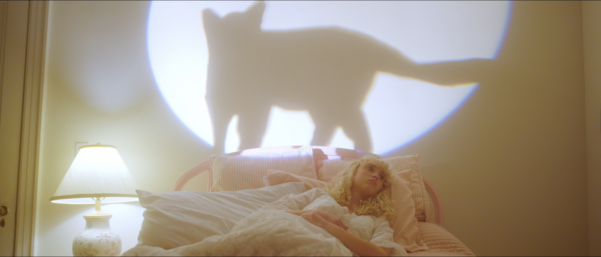 Screenshot 2026-01-22 at 2.41.17 PM.png