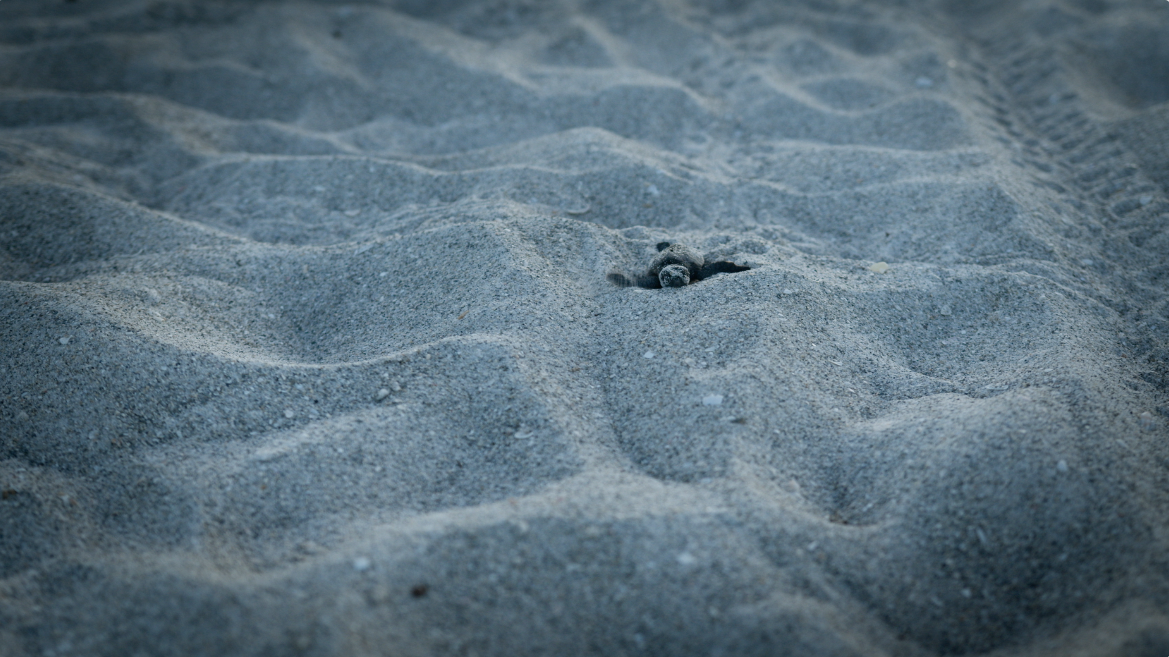 Screenshot 2025-10-30 at 10.26.24 AM.png