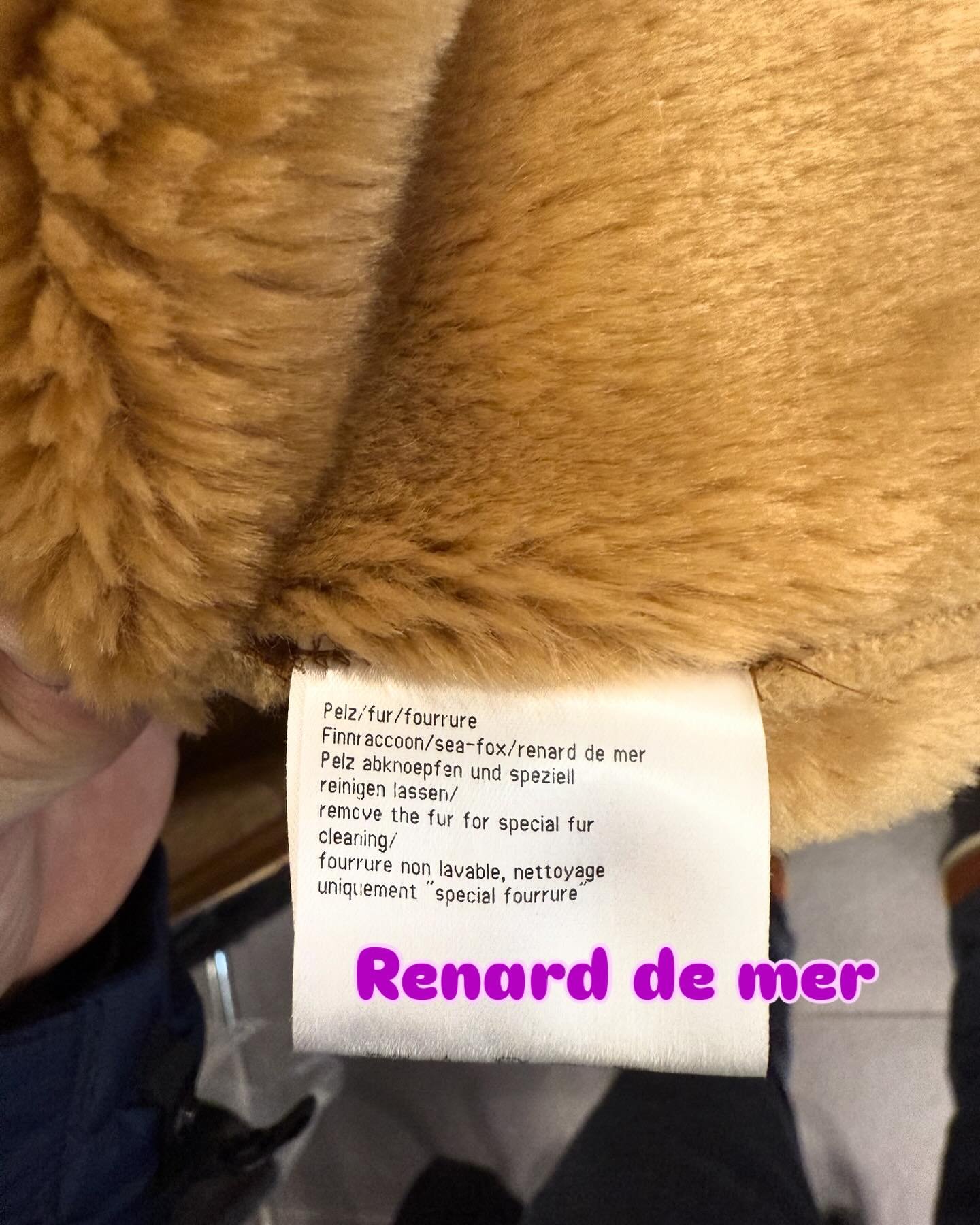 🦊Renard de mer > animal acrylique  &agrave; poil long . Animal provenant g&eacute;n&eacute;ralement de Chine ou D&rsquo;Inde.
C&rsquo;est une esp&egrave;ce assez envahissante qui a la particularit&eacute; de berner le consommateur et de vendre au