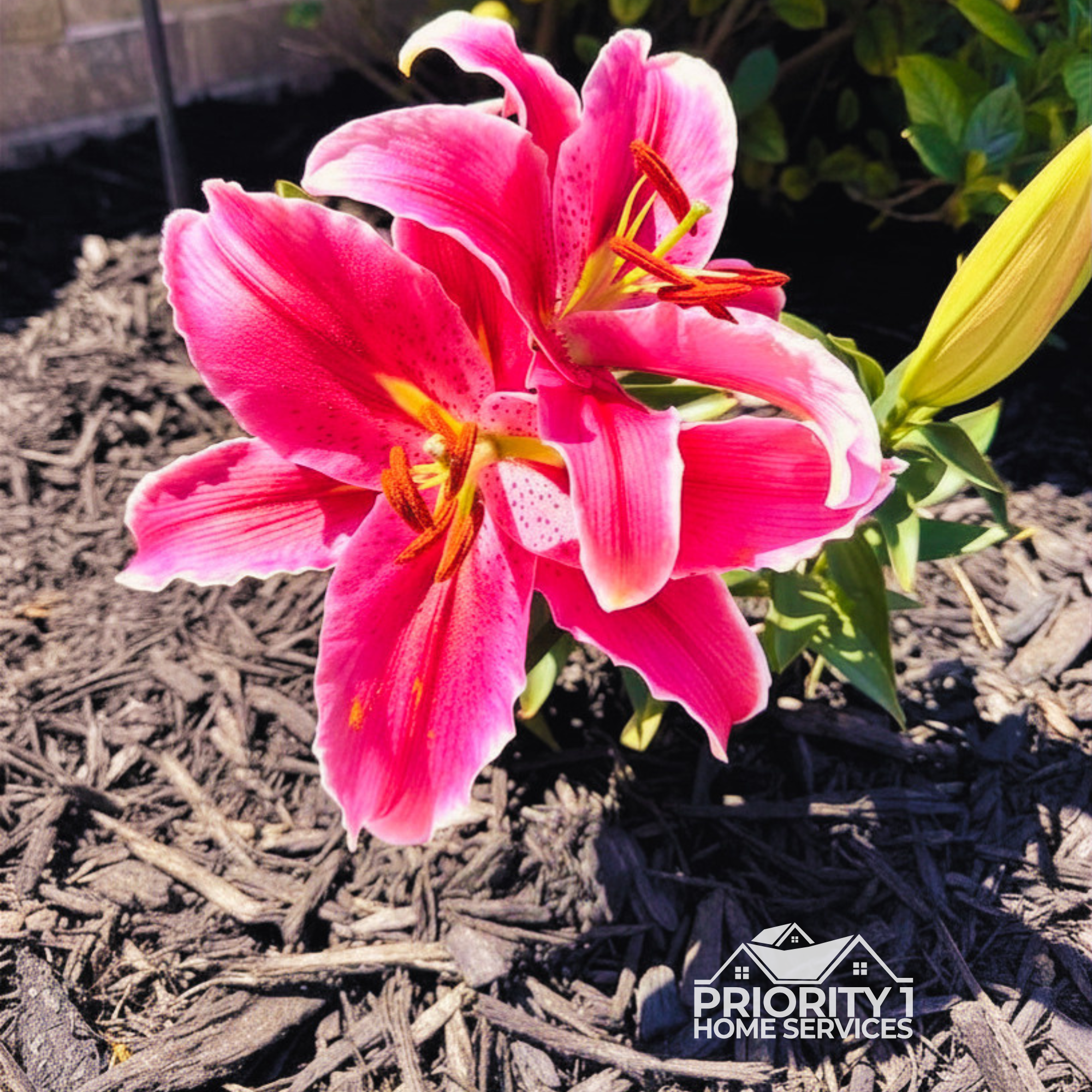 Mulch installation and flower bed refresh in Pace, Santa Rosa County by Priority 1 Home Services