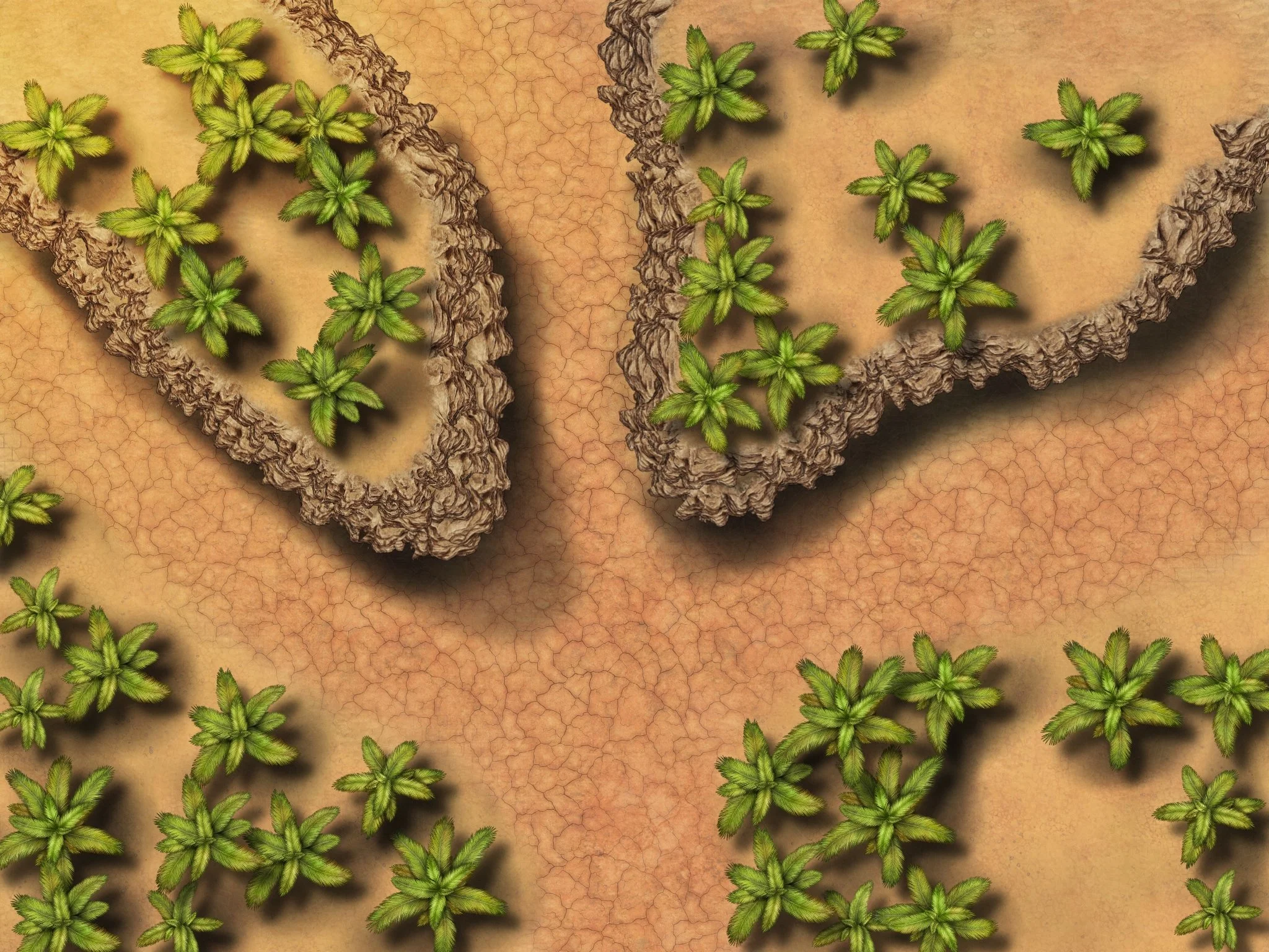 Asumin Empire Trail Battlemap #2.jpg