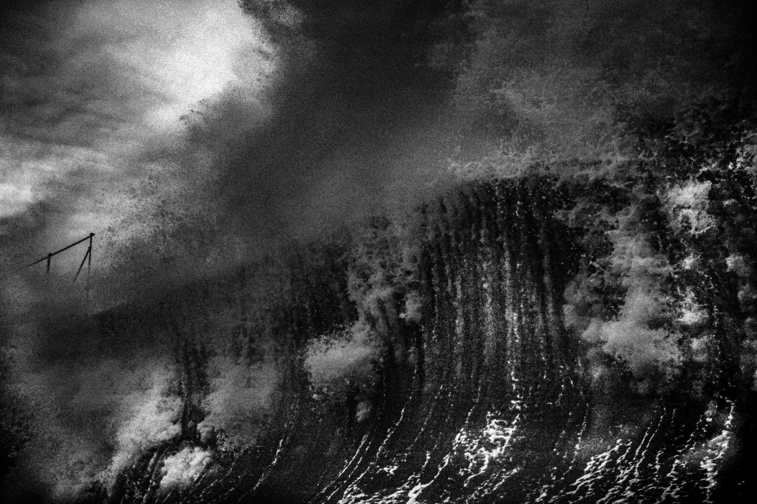 SKILLY EXPORTS -57.jpg