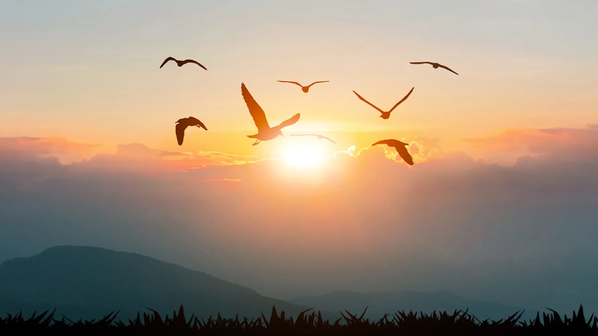 La 40aine : se recentrer &amp; se retrouver | Midlife: Recentering &amp; Finding Yourself