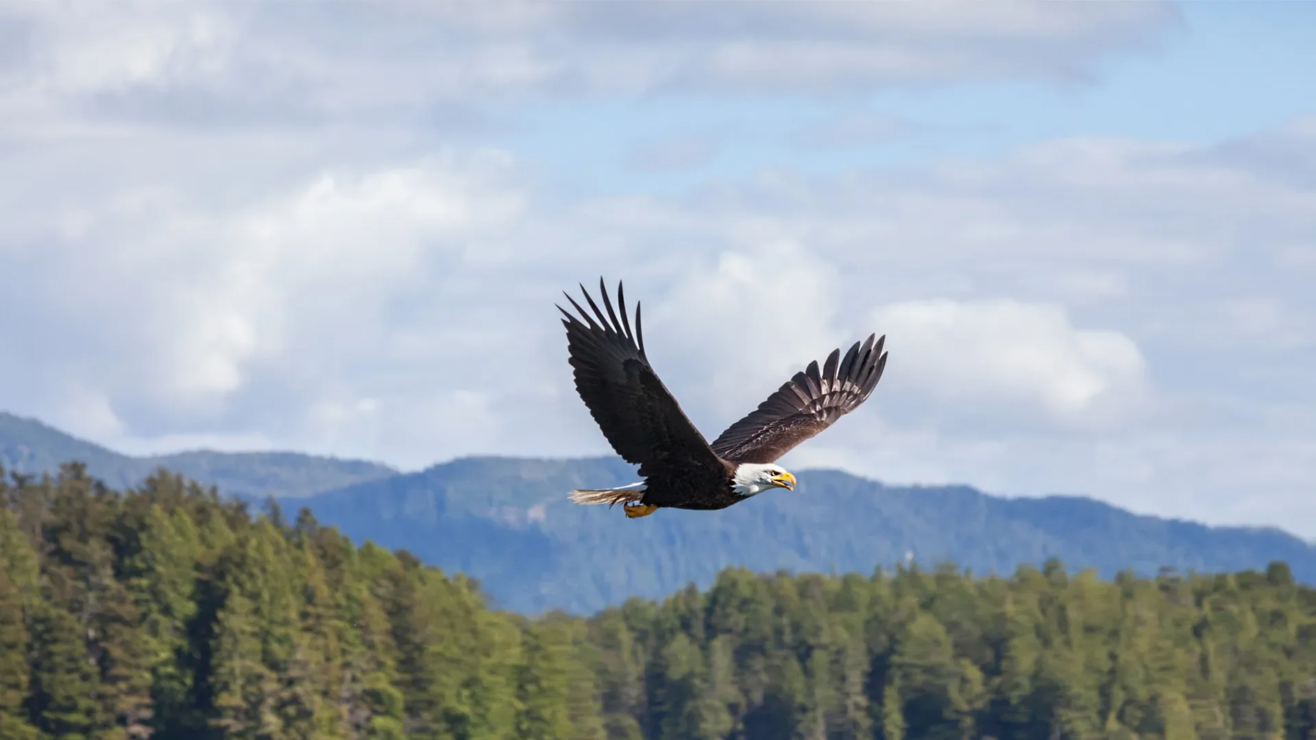 🇫🇷Et si nous apprenions à apprivoiser l’inconfort? | 🇬🇧What if we learned to befriend discomfort?