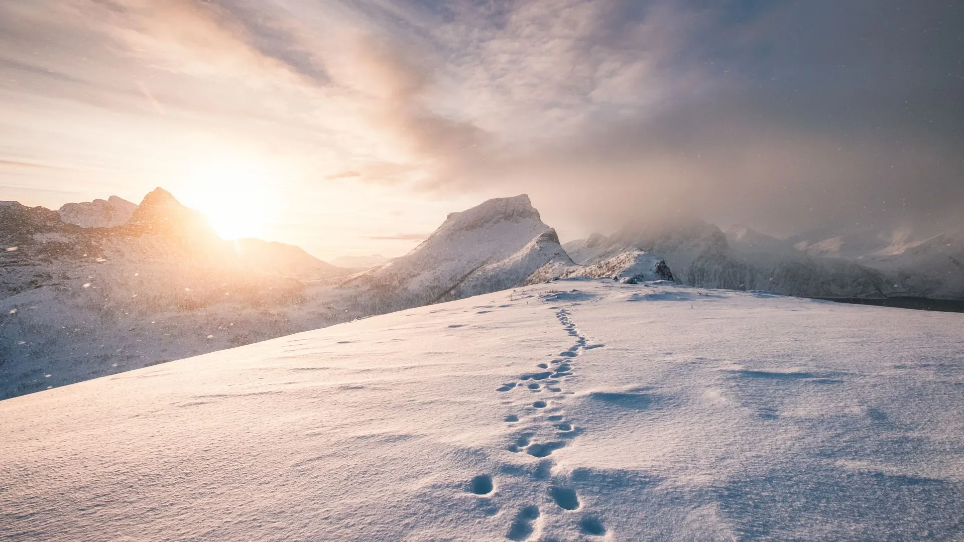 🇫🇷 Le deuil comme initiation 🇬🇧 Grief as initiation