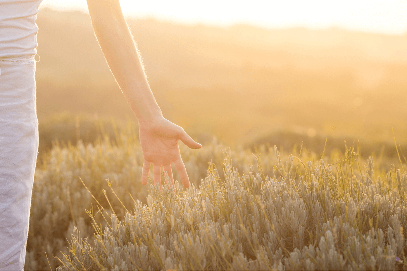 Une personne vêtue d’une chemise claire et d’un pantalon de couleur pâle tend la main pour toucher des plantes ou de l’herbe dans un champ au coucher du soleil.