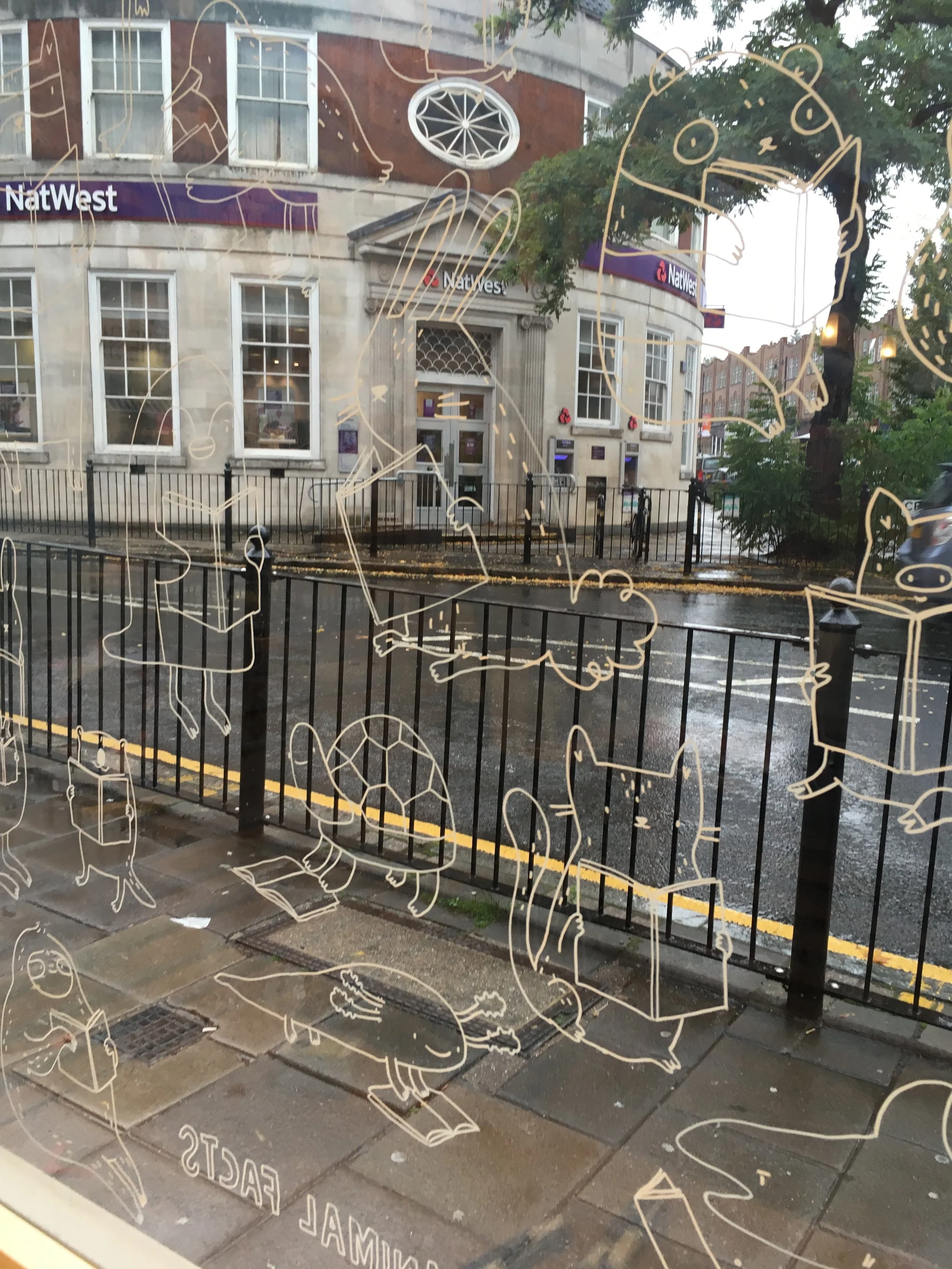 Window with animal illustrations, street view with a NatWest bank building and rainy weather.