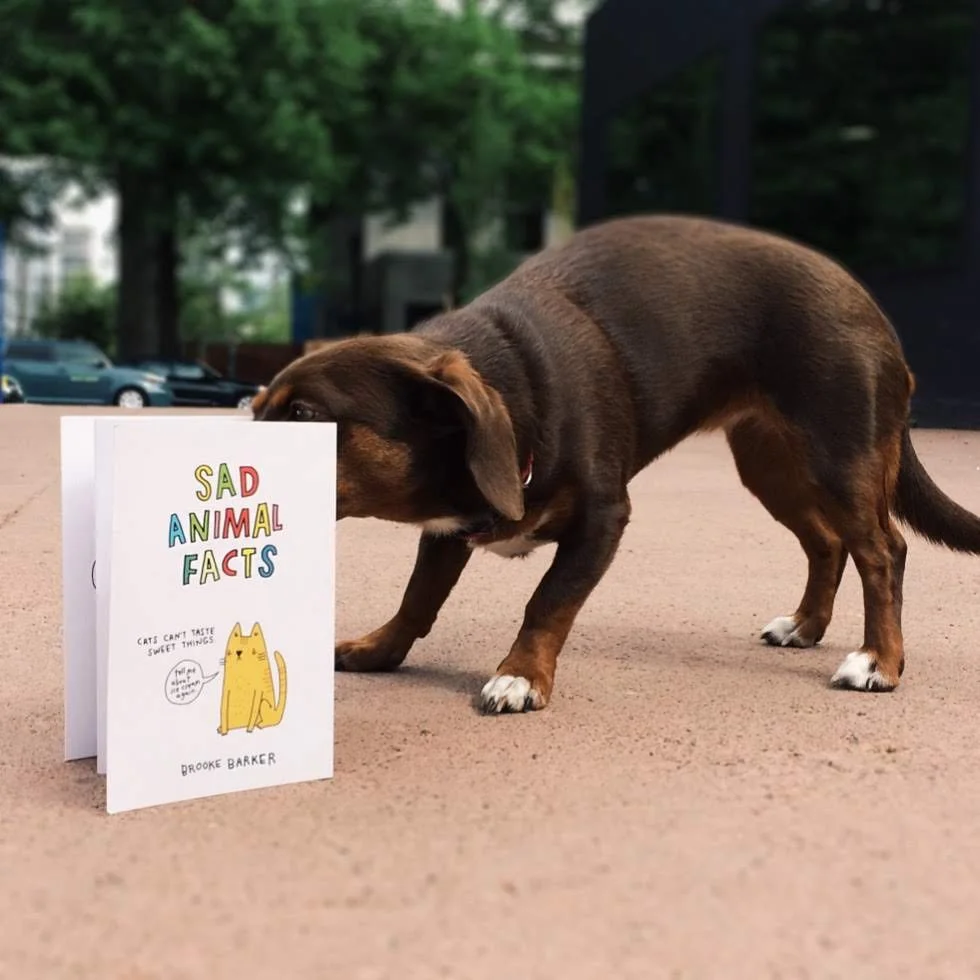 Dog sniffing "Sad Animal Facts" book outdoors.