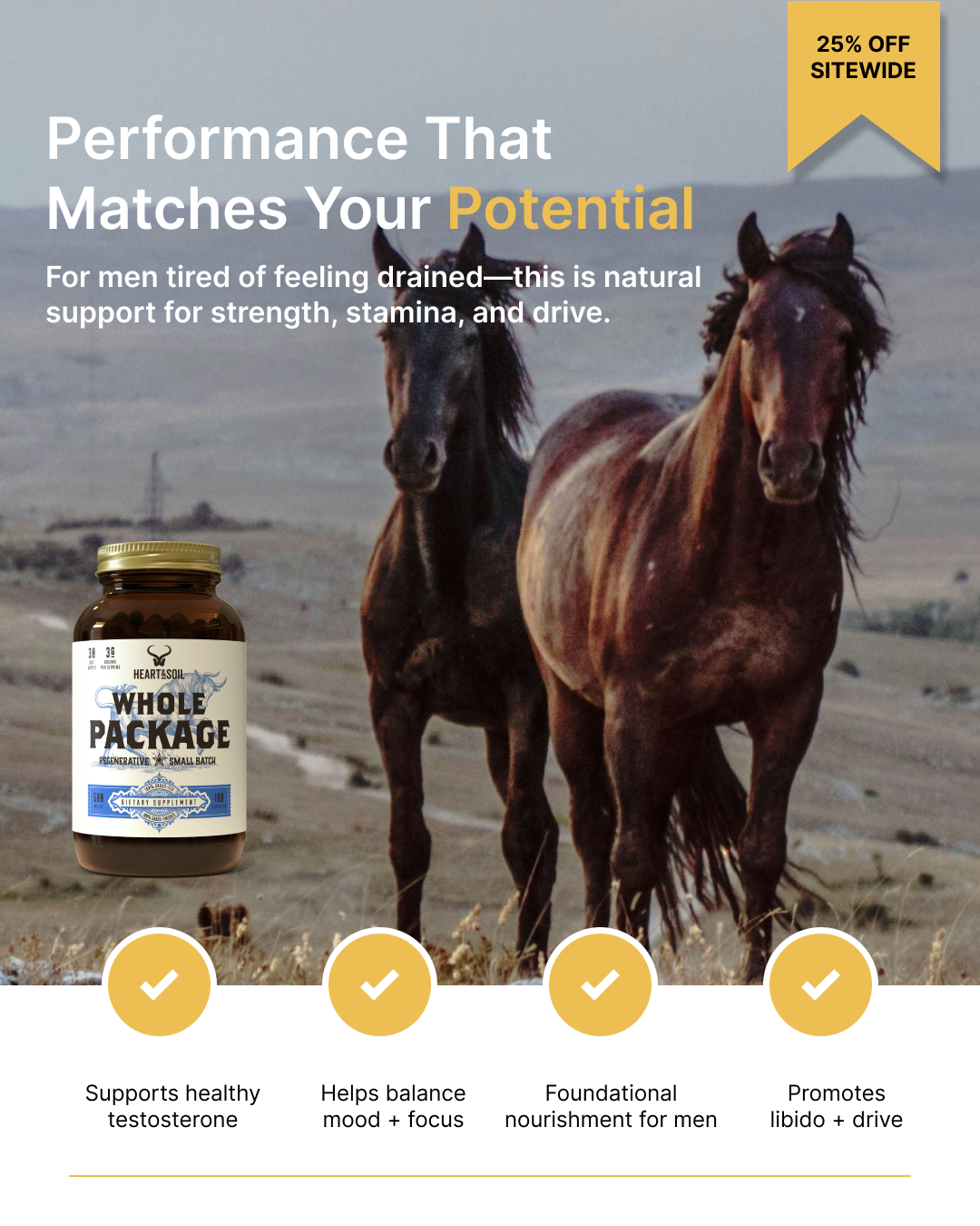 Cyber Monday v1.2.png