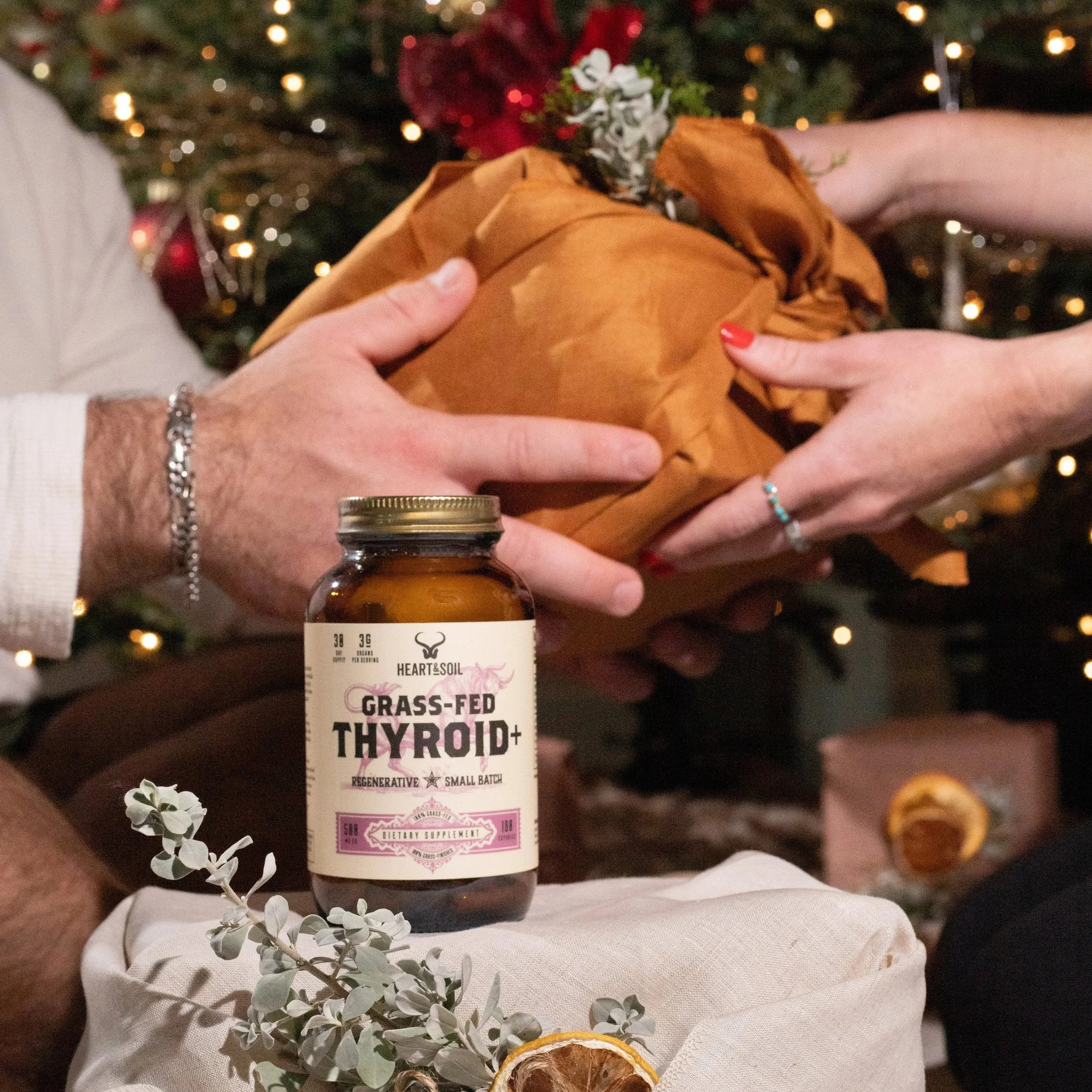 Christmas Photo Shoot