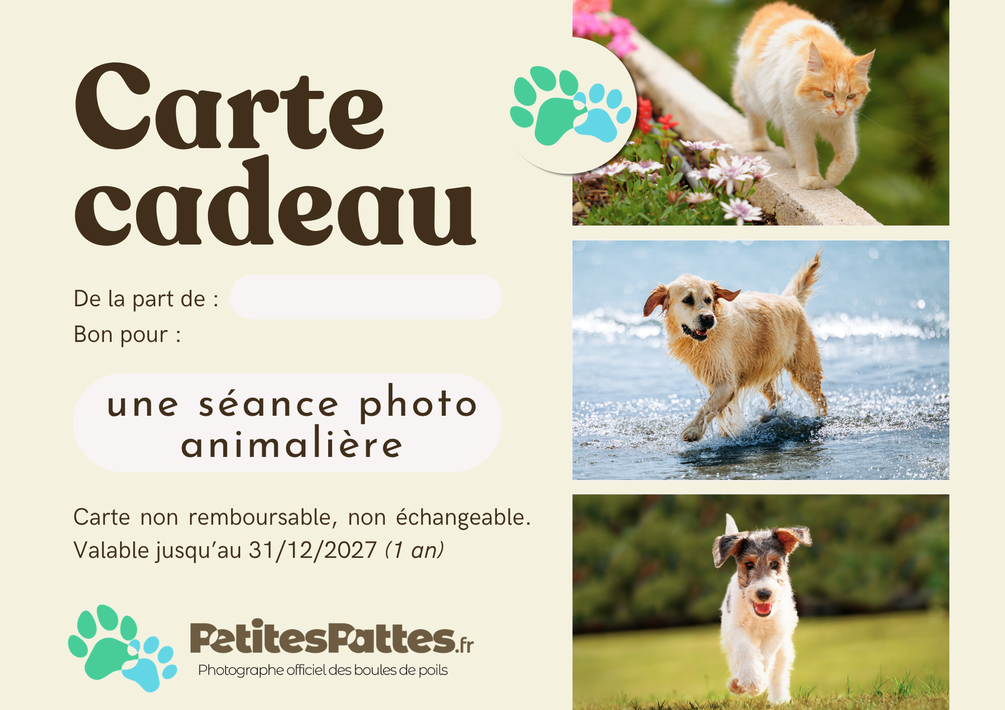 Carte cadeau v1.png