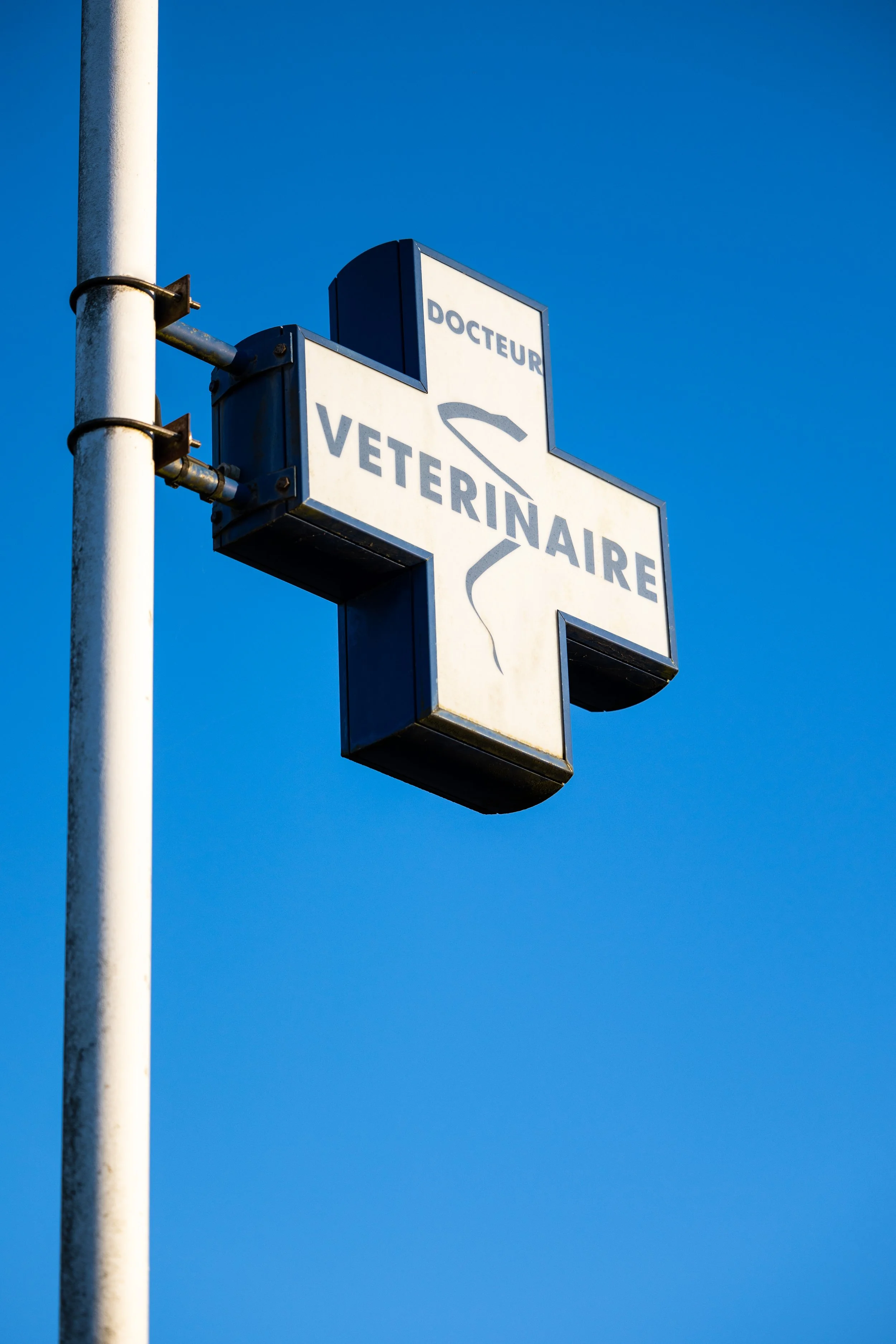 Un panneau de signalisation pour un vétérinaire, avec un fond de ciel bleu clair.