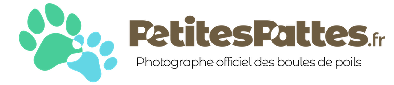 Logo avec empreintes de pattes de chiens de différentes tailles et couleurs, avec le texte "PetitesPattes.fr".