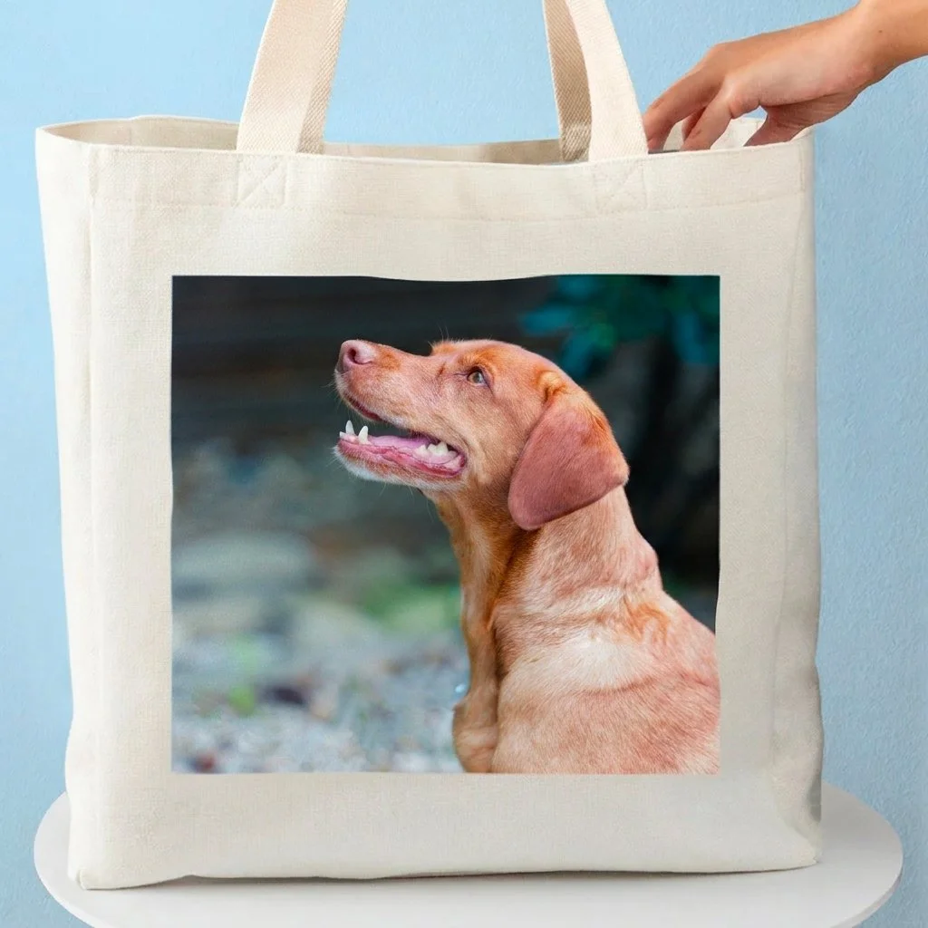 Sac en toile avec une photo d'un chien de race Labrador Retriever à l'extérieur.