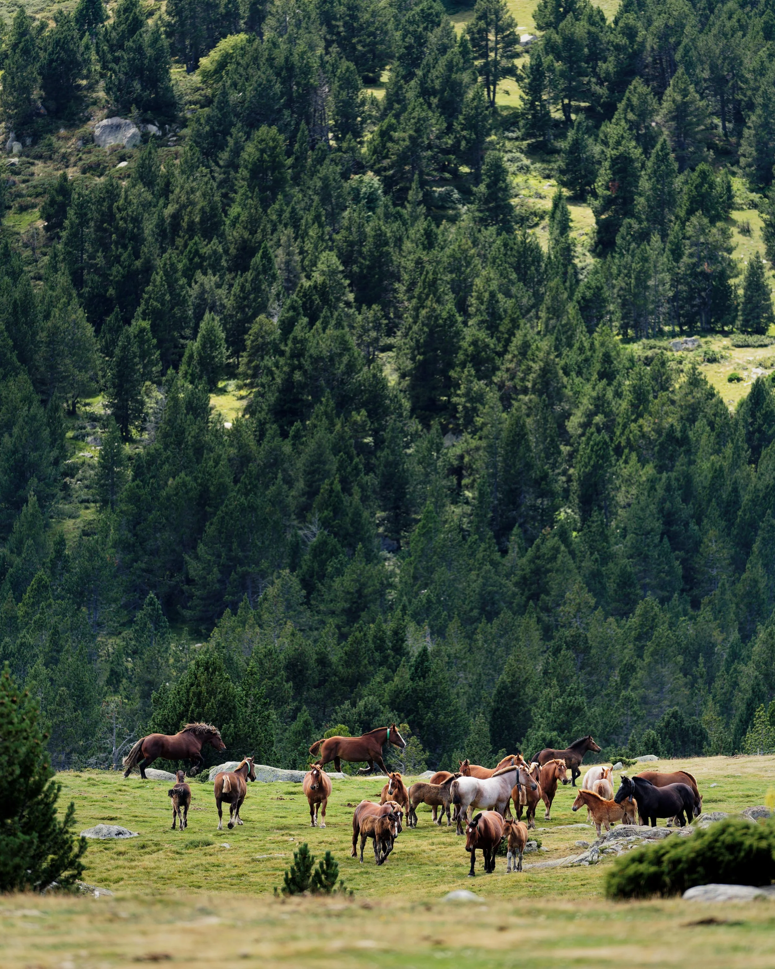 DSC09714_DxO.jpg